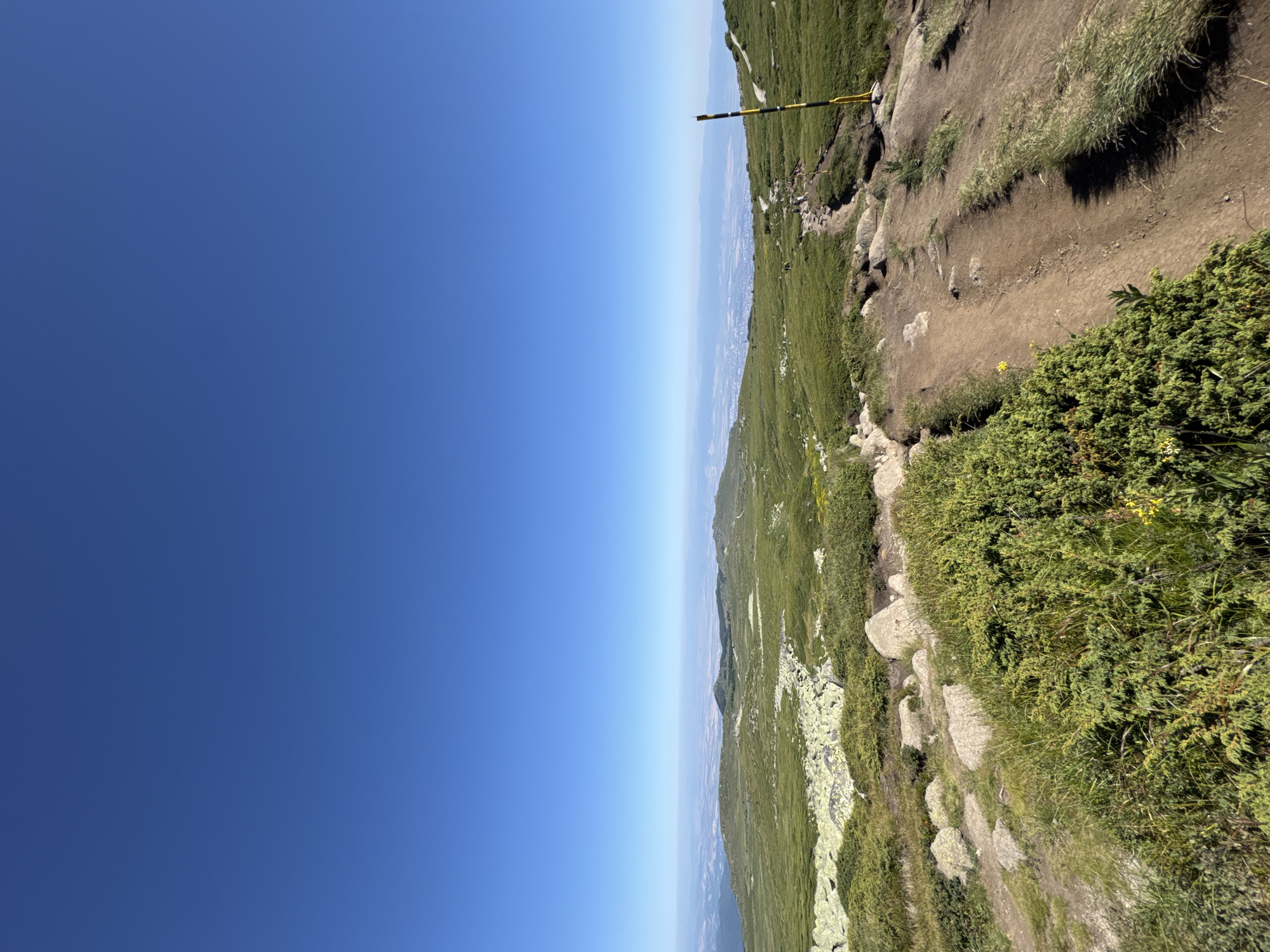 Summer morning on the mountain above Bistritsa, chairlift running