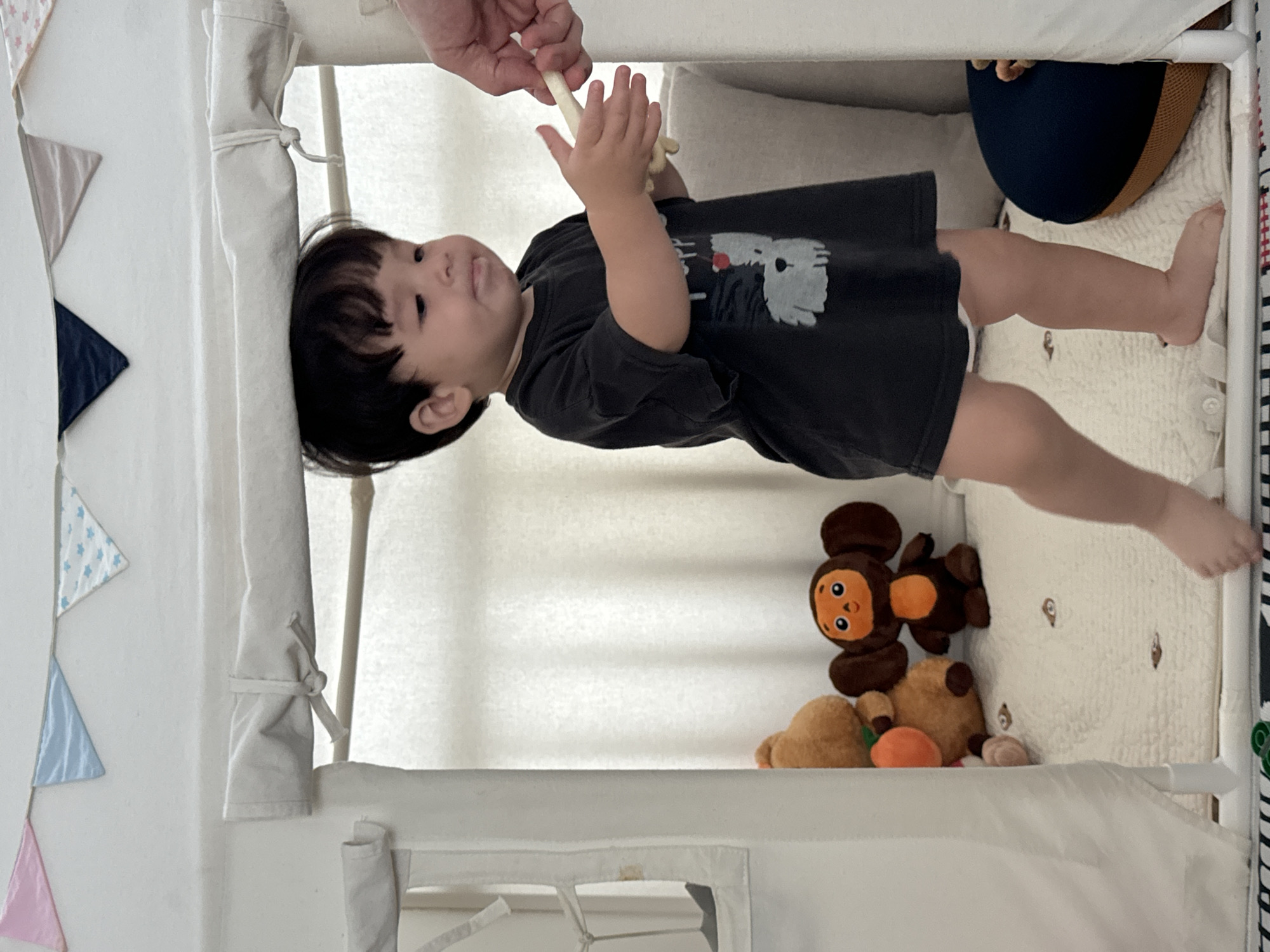 Toddler morning play session inside a Jeju home