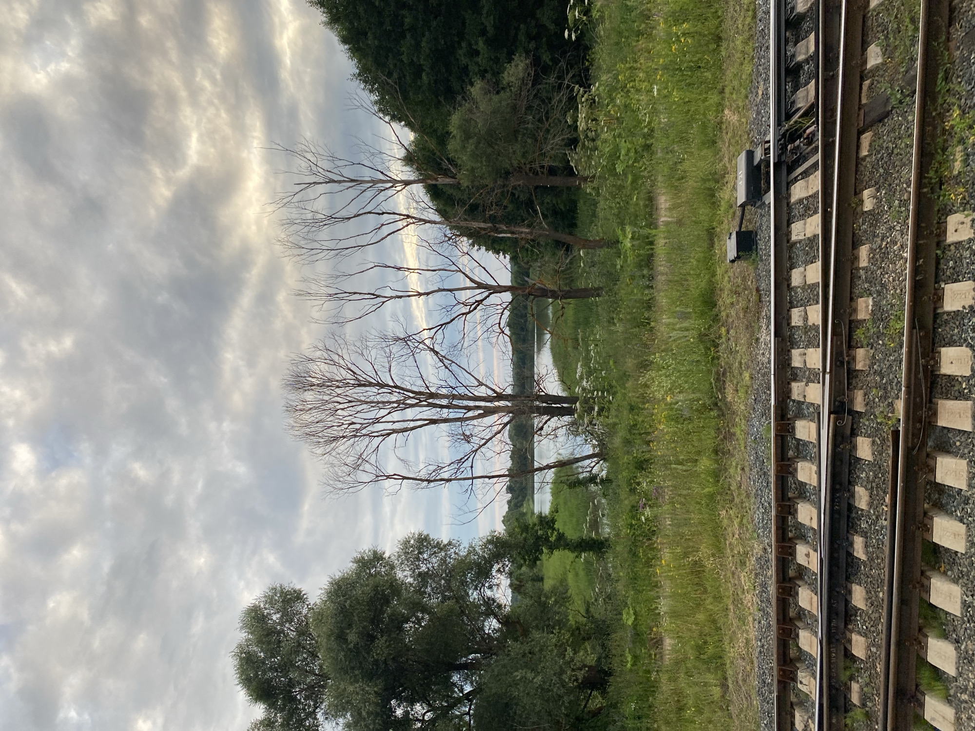 Overcast skies over a rural Russian railway landscape