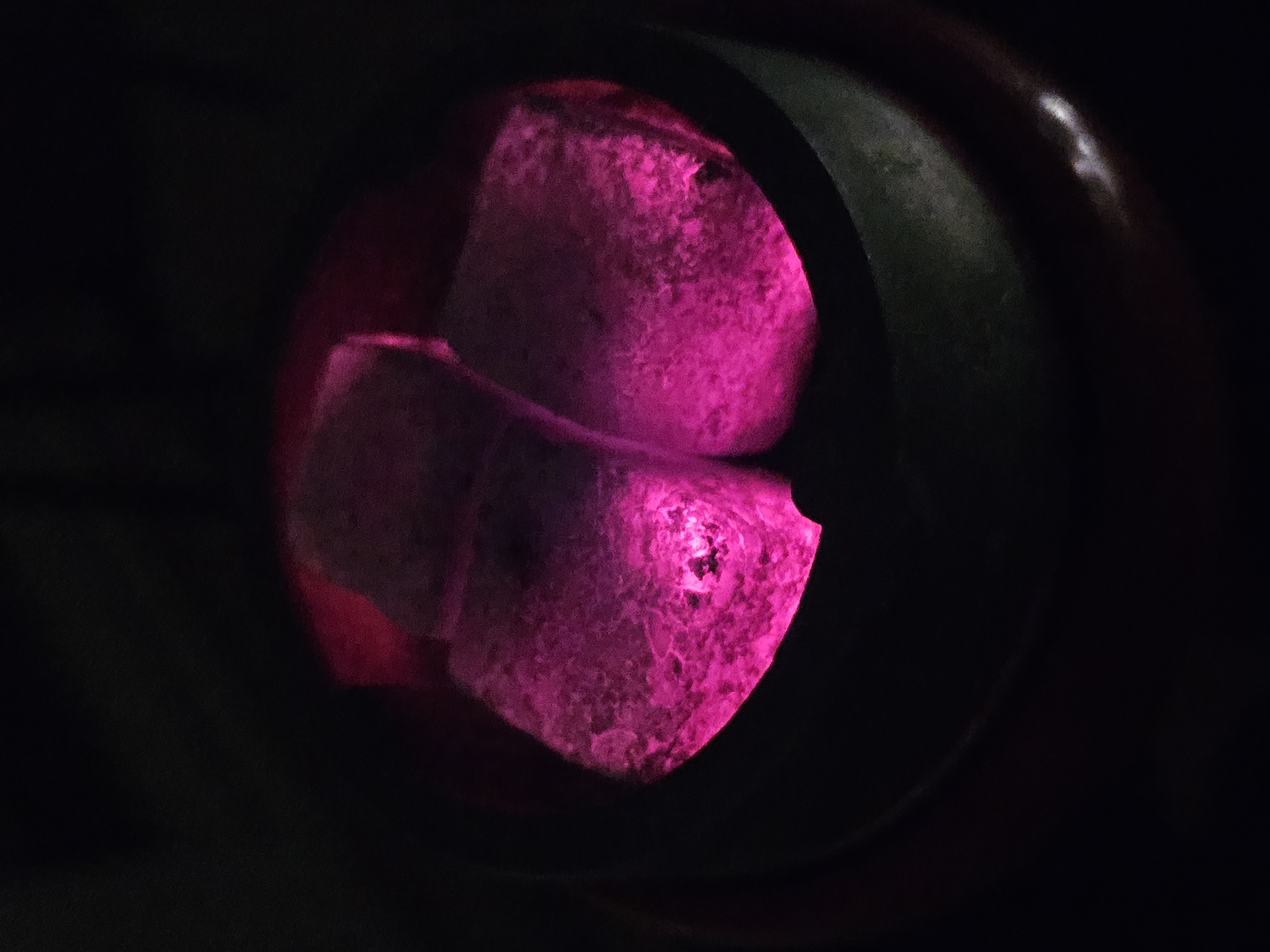 Nighttime observations reveal illuminated objects and starlit wooden structure