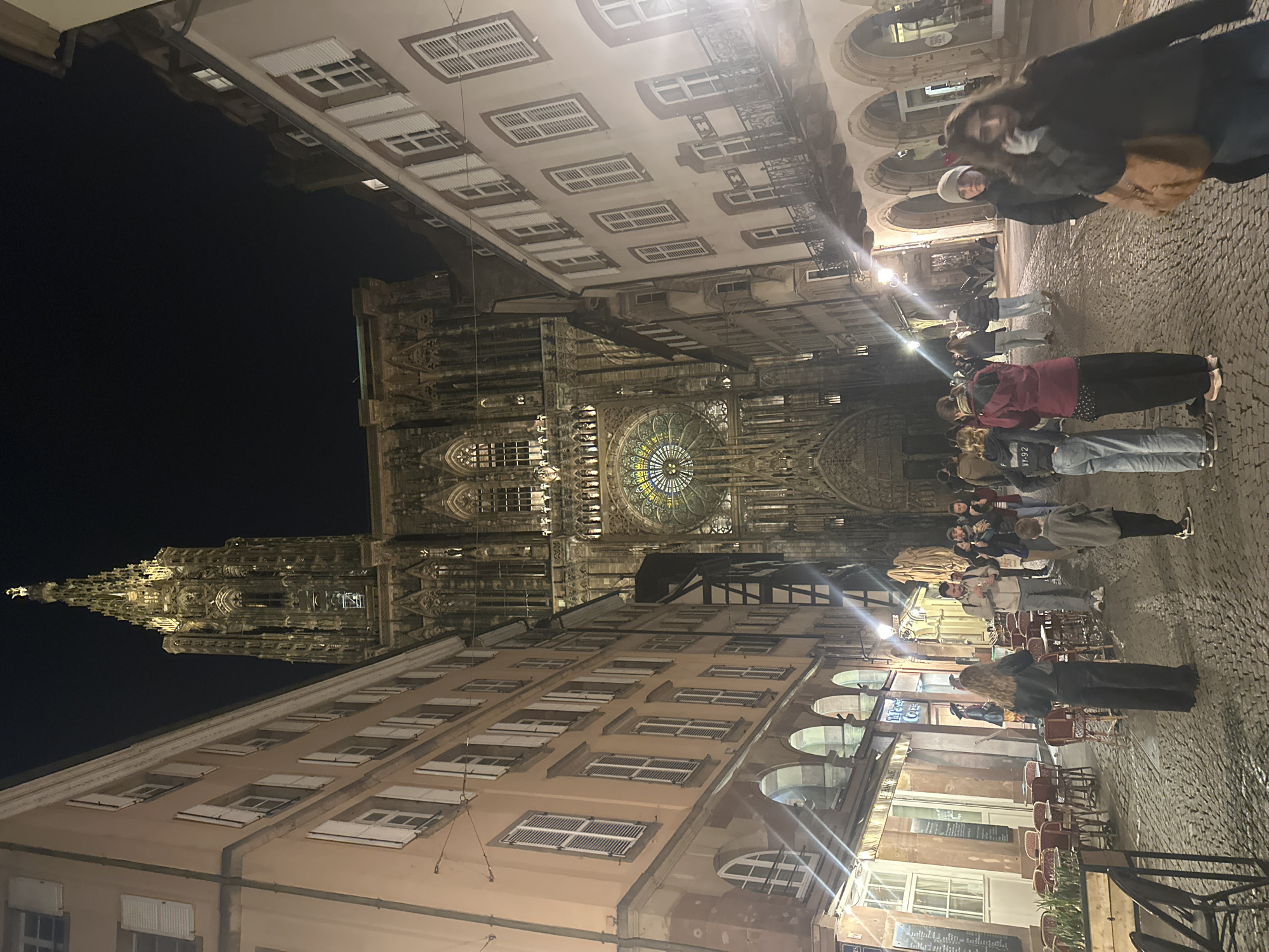 Strasbourg Cathedral illuminated at night draws multiple witnesses