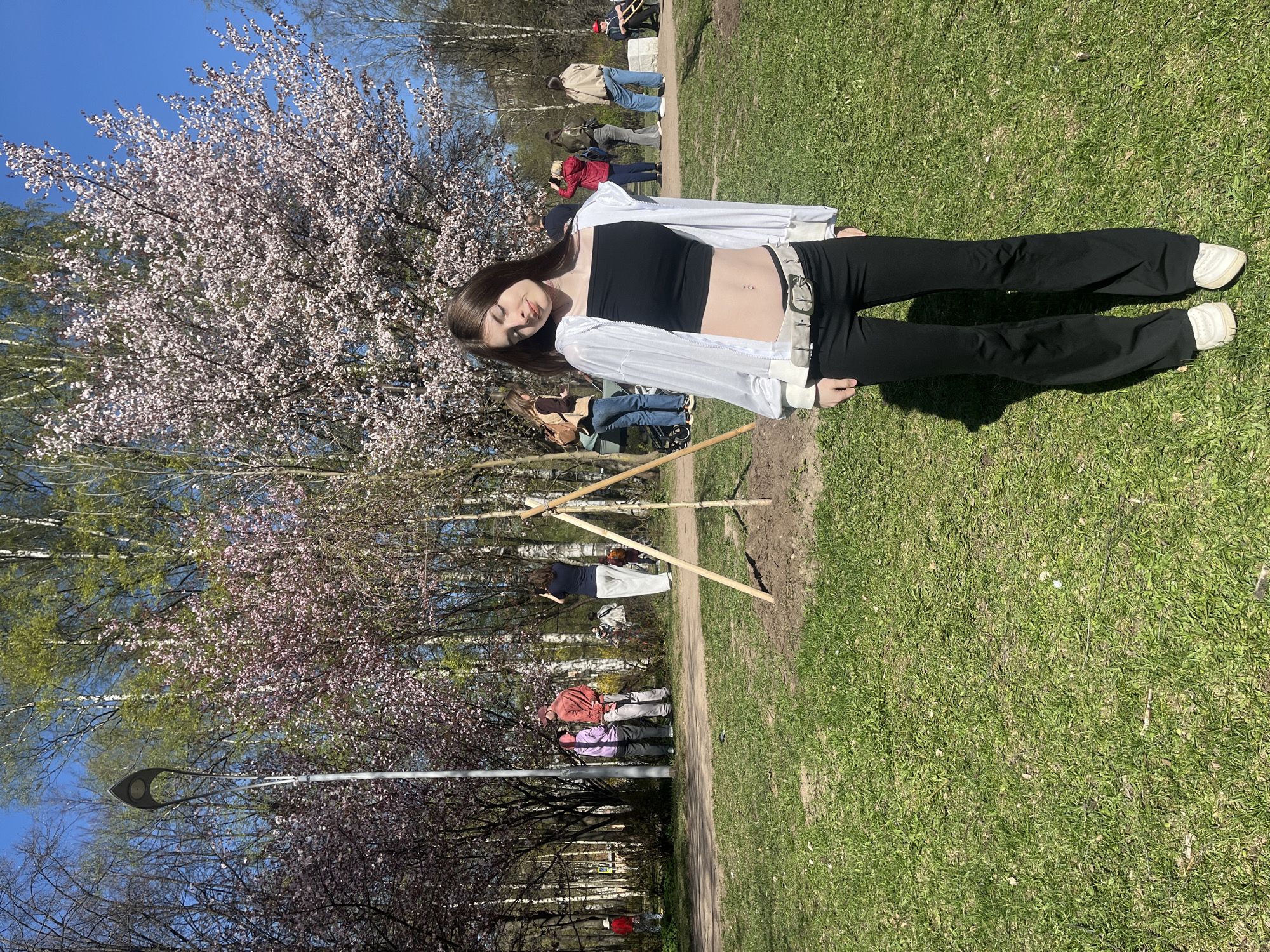 Spring gathering under blooming trees captured by park visitors