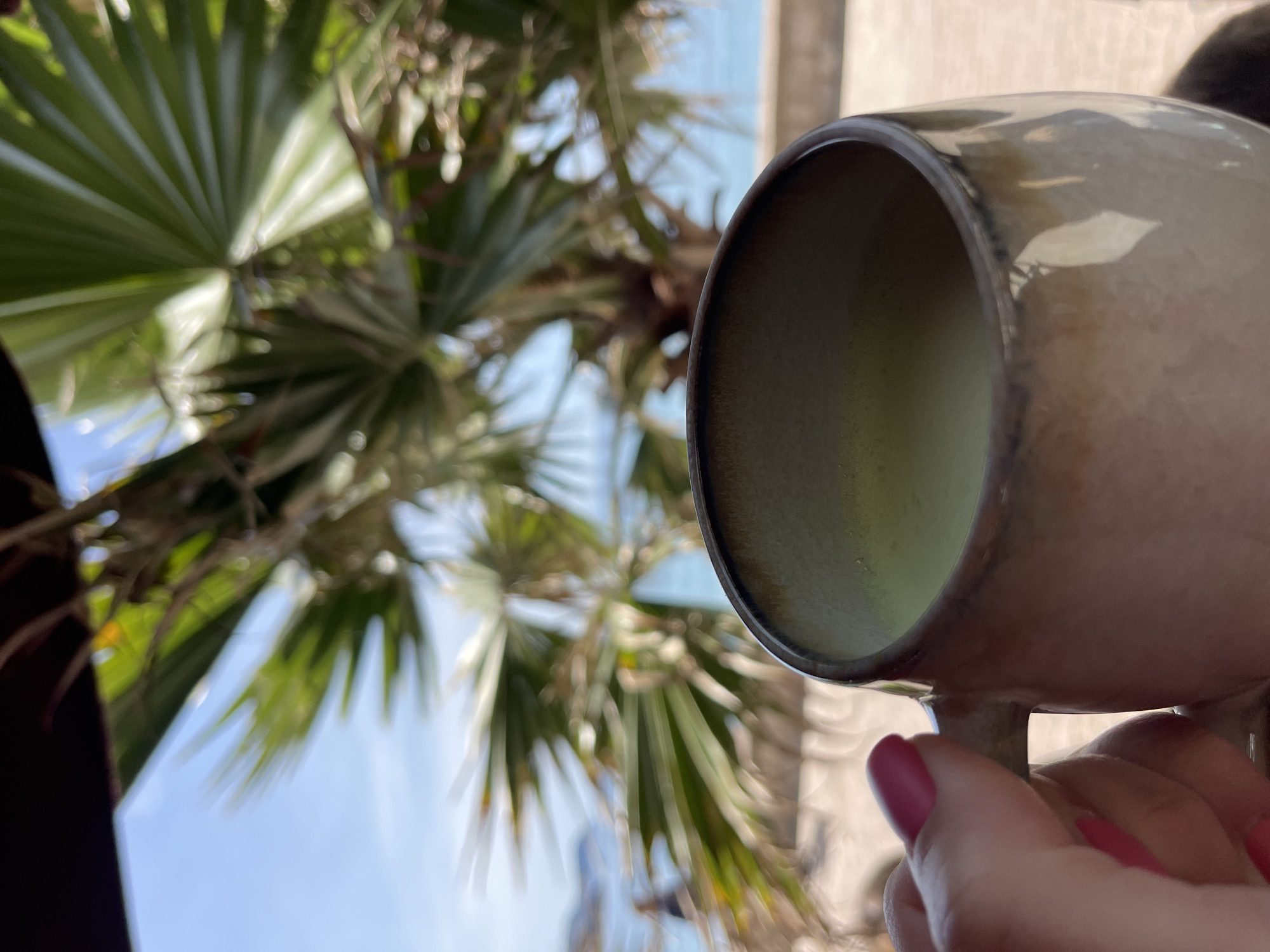 Morning dining scene at Montenegro coastal restaurant patio
