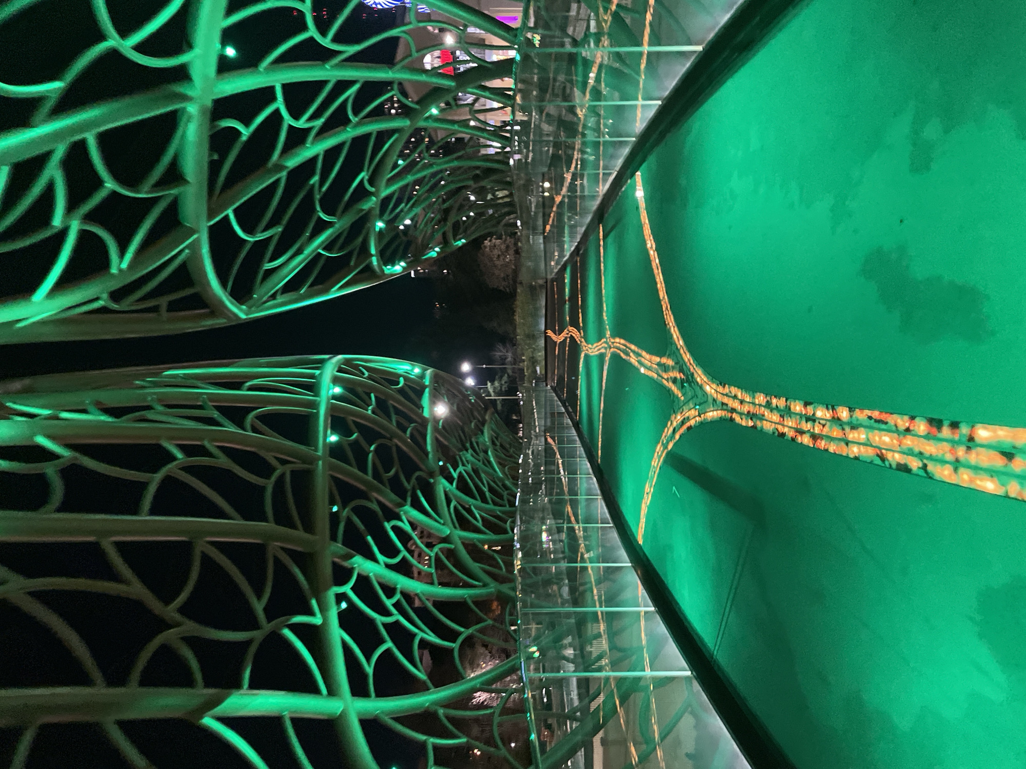 Illuminated Fig Tree Gallery Bridge documented in Sochi