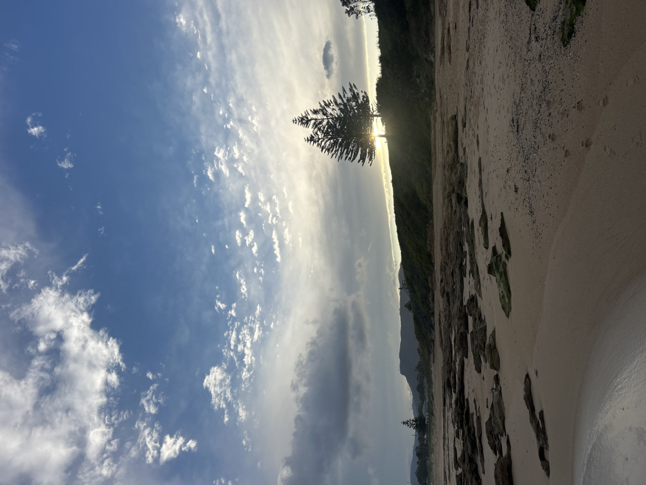 Morning beach outing documented at Bulli, Australia with dog