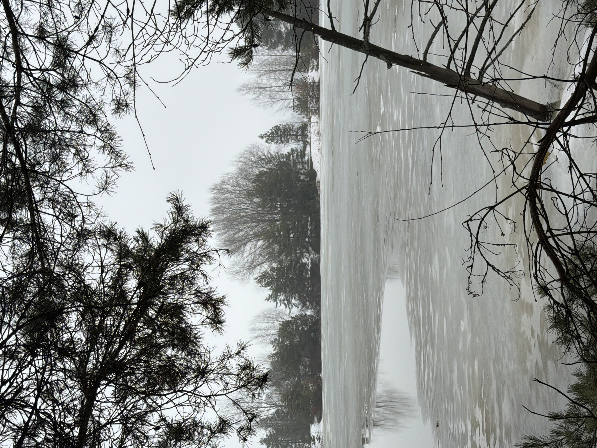 Spring thaw documented in Noviy, Russia through nature observations