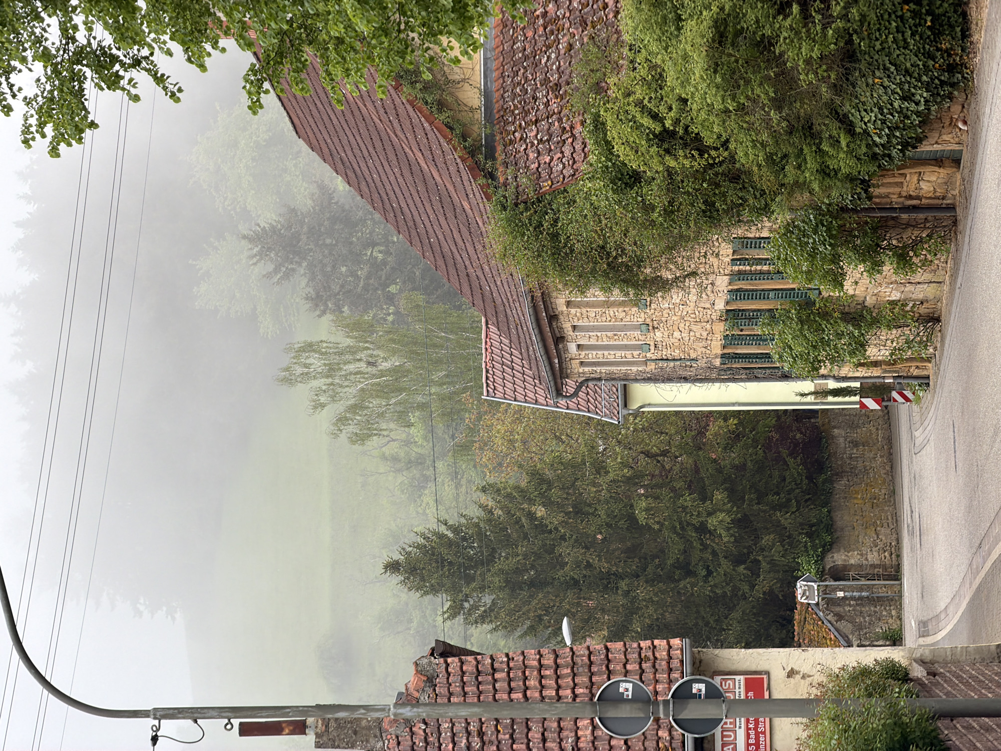 Corgi walked through foggy German village streets Friday morning