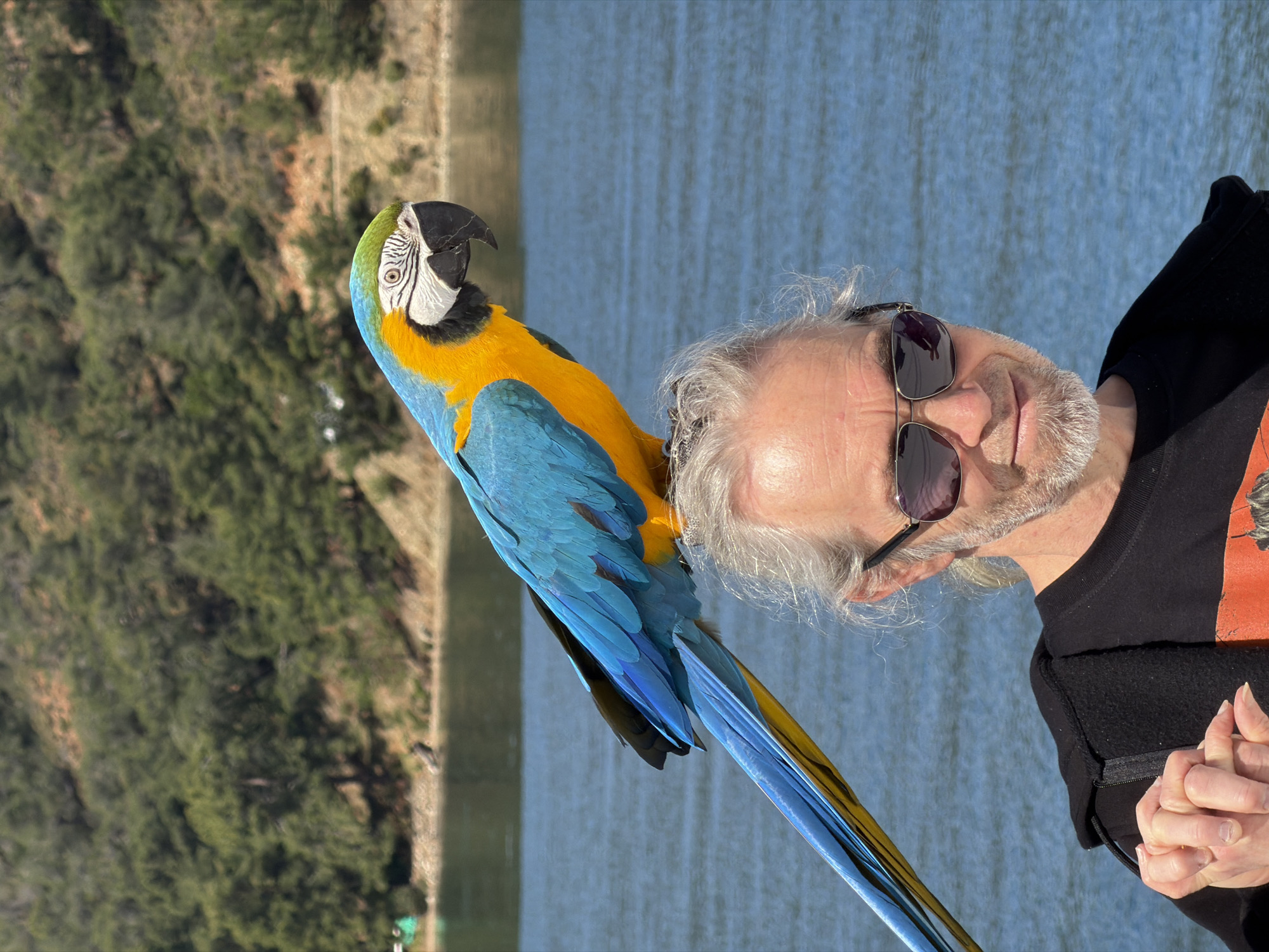 Blue macaw spotted with tourists on Fethiye boat trip