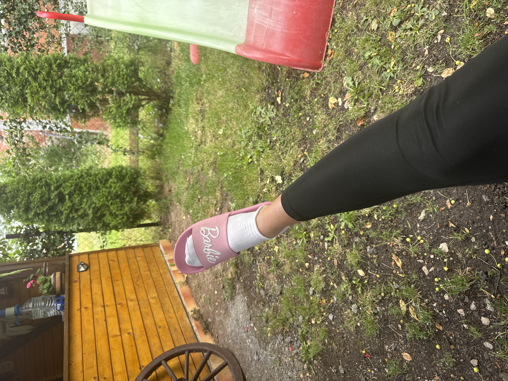Domestic life captured in Bulgarian backyard over morning hours