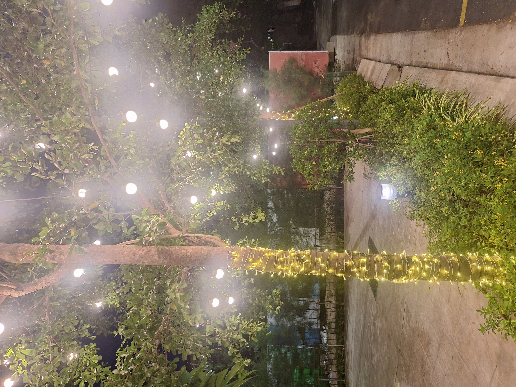 Nha Trang beachfront sculptures, resort lights, and coastal scenes