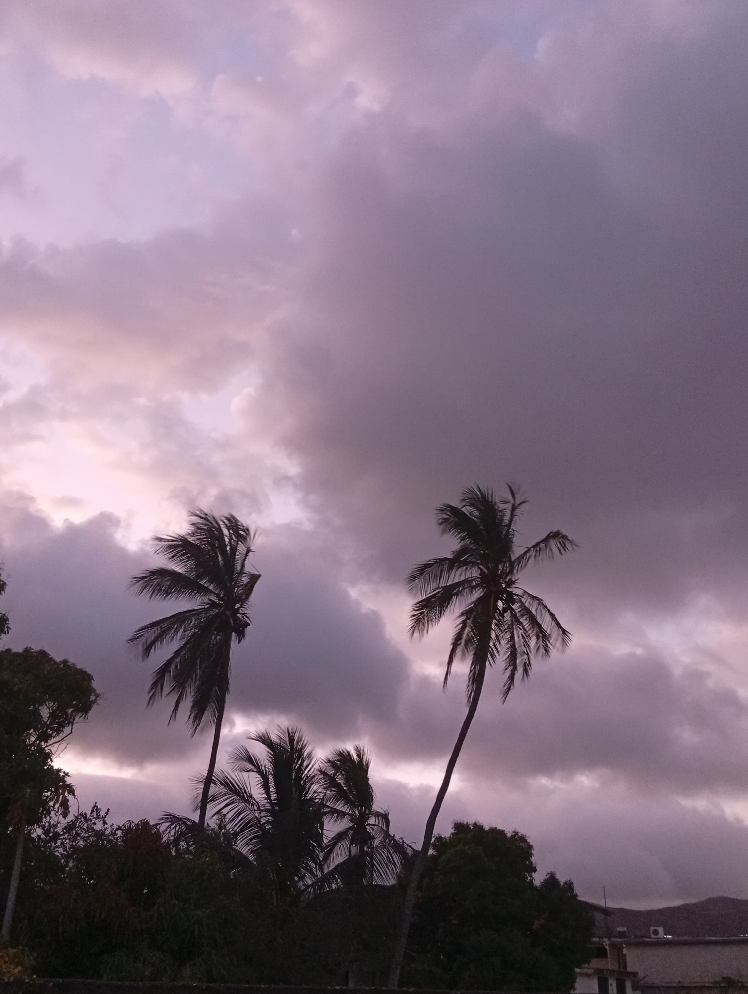 Dramatic purple twilight clouds observed over La Asuncion, Venezuela