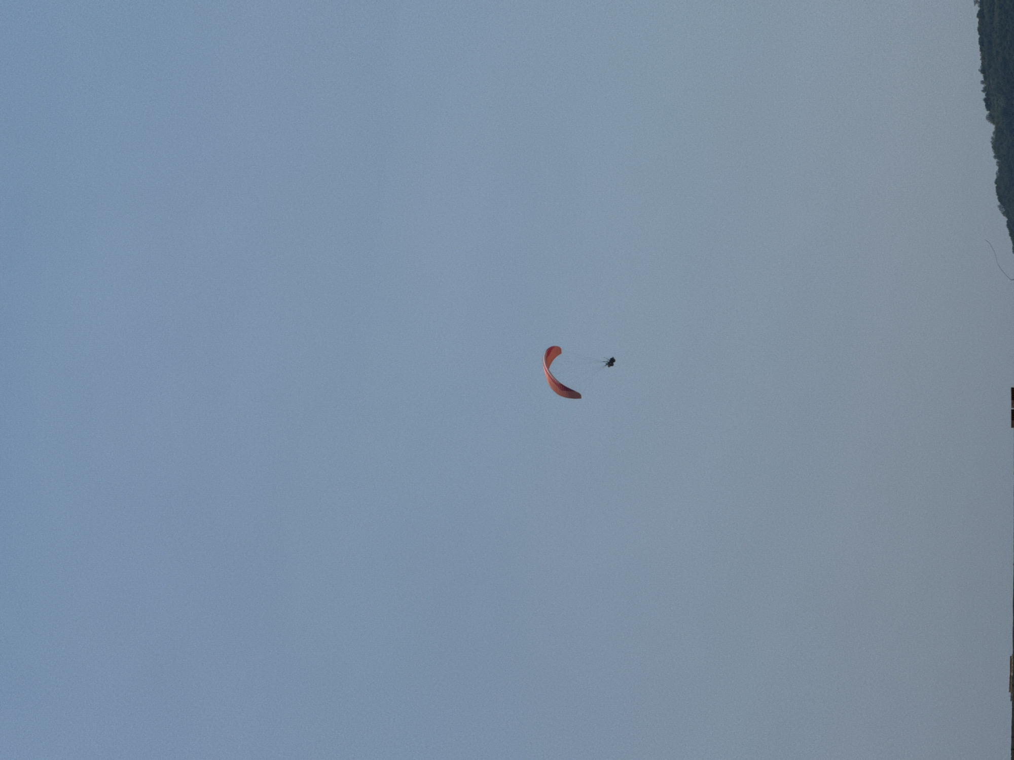Paragliders and cranes share the sky over coastal Montenegro