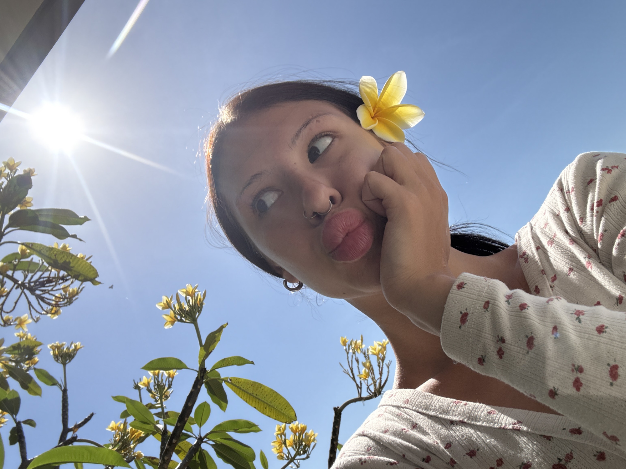 Plumeria flowers featured in outdoor poses and interior scenes