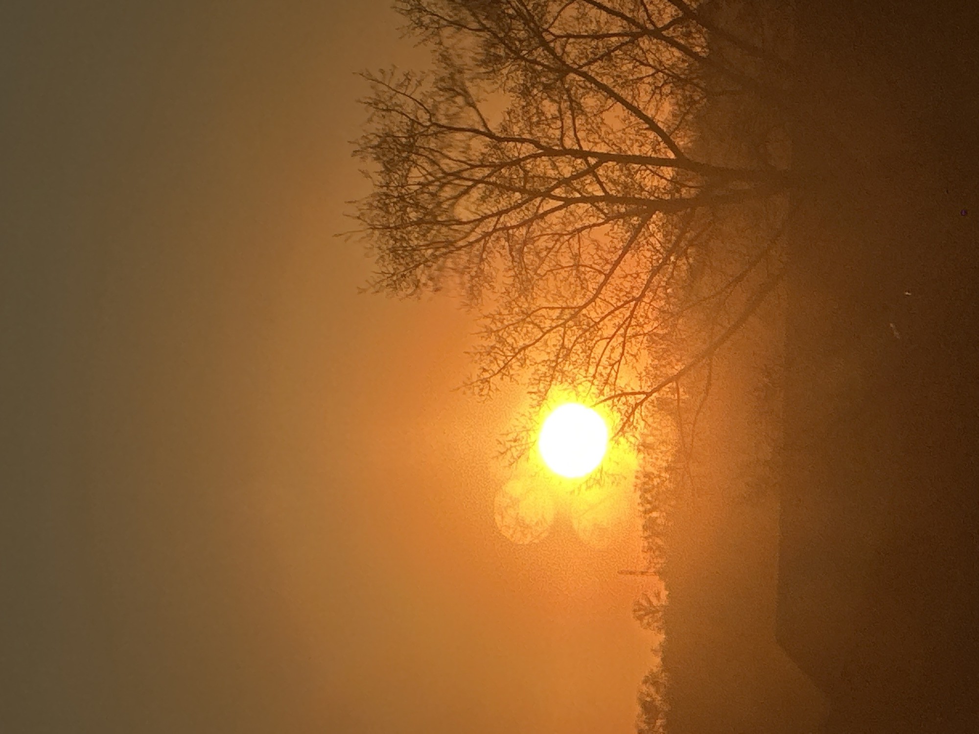 Domestic moments captured during spring afternoon in Biysk, Russia