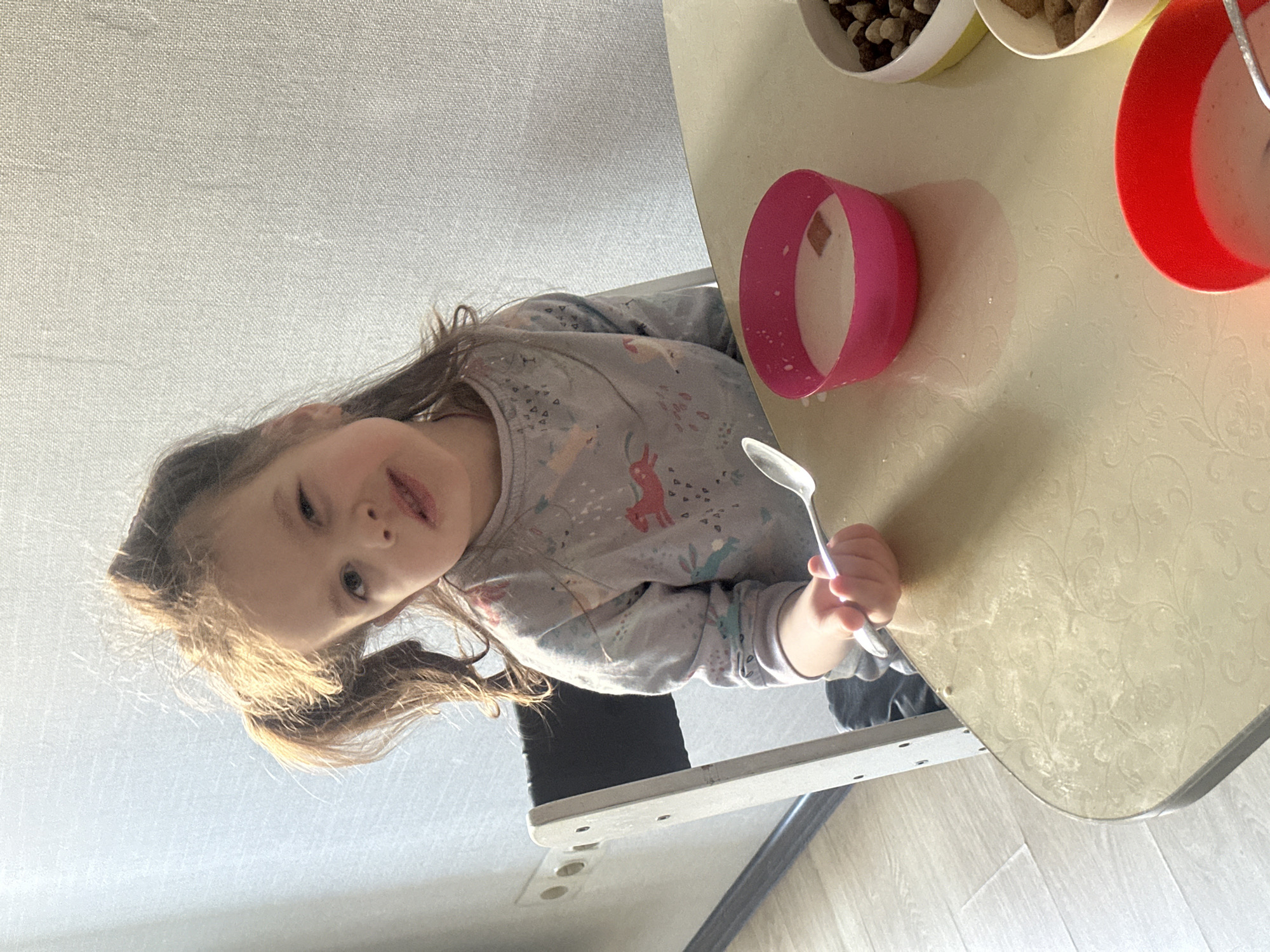 Morning life moments documented across Tomilino, Russia