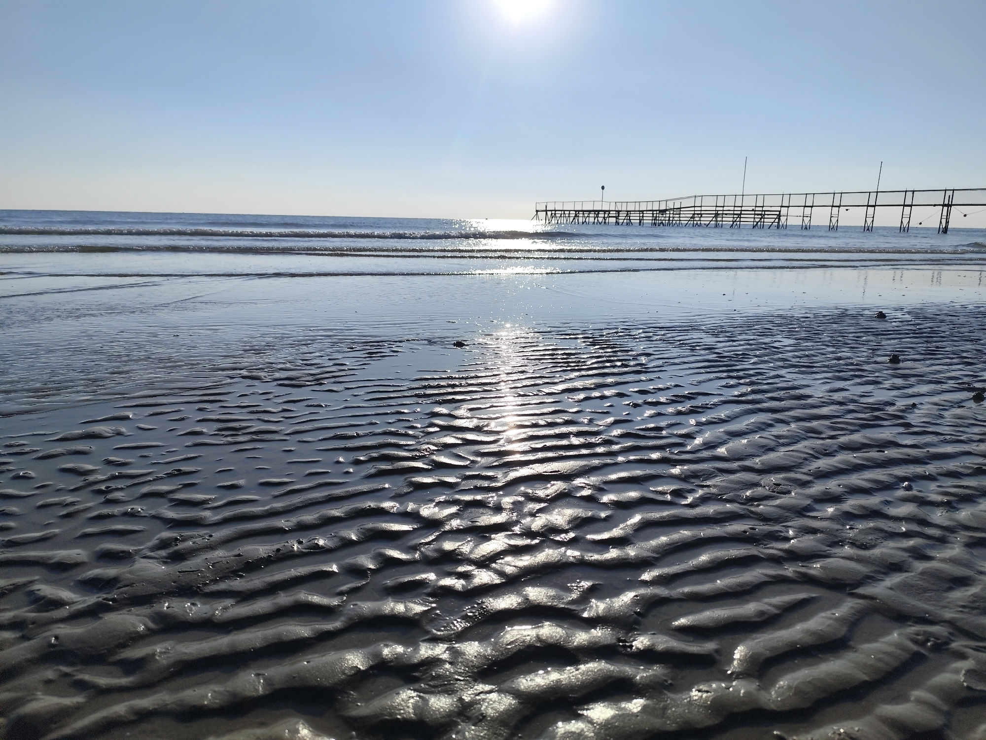 Low tide reveals sand patterns and a jellyfish on Rimini's shore