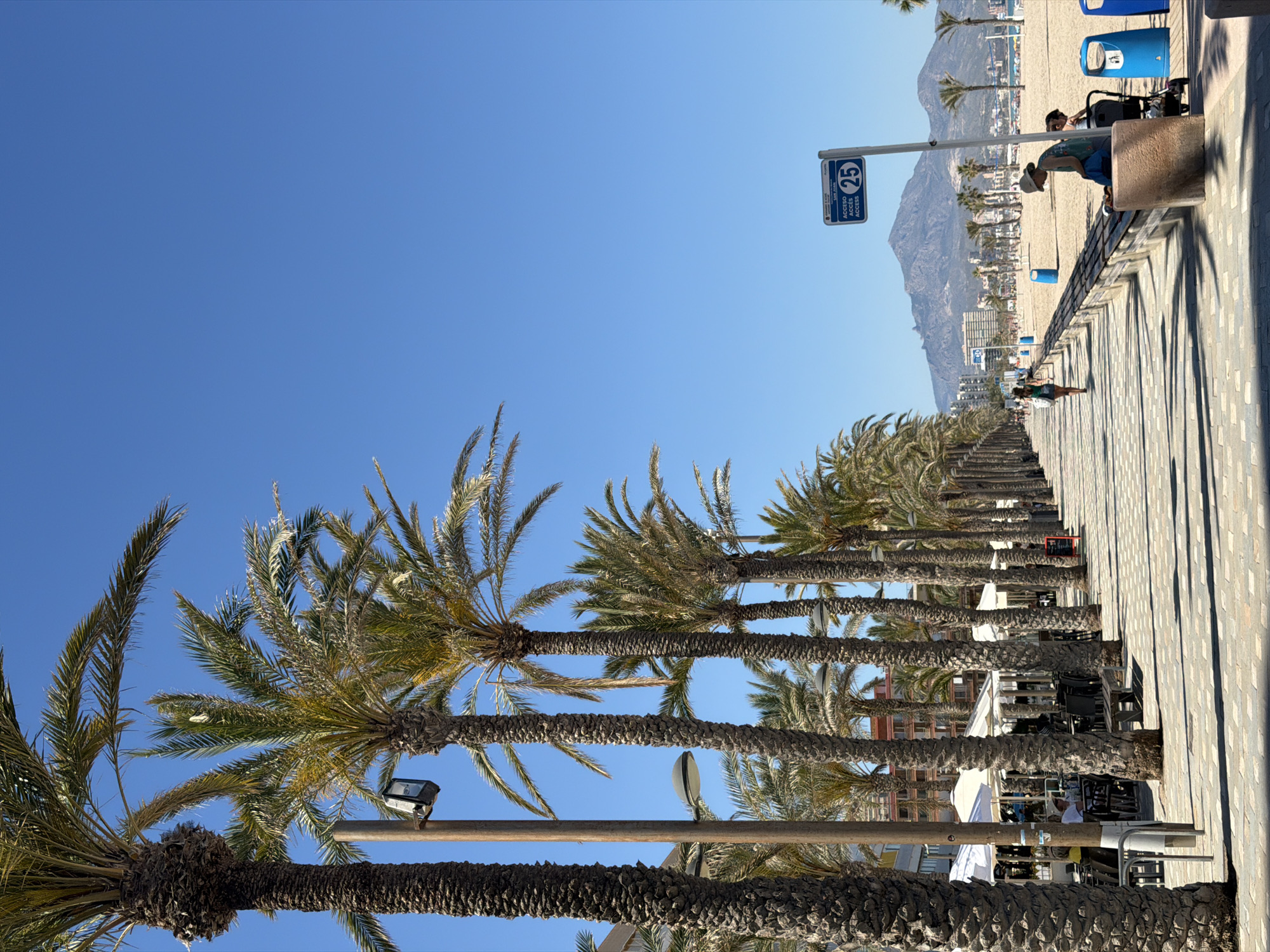 Afternoon scenes captured along Alicante's palm-lined coastal promenade