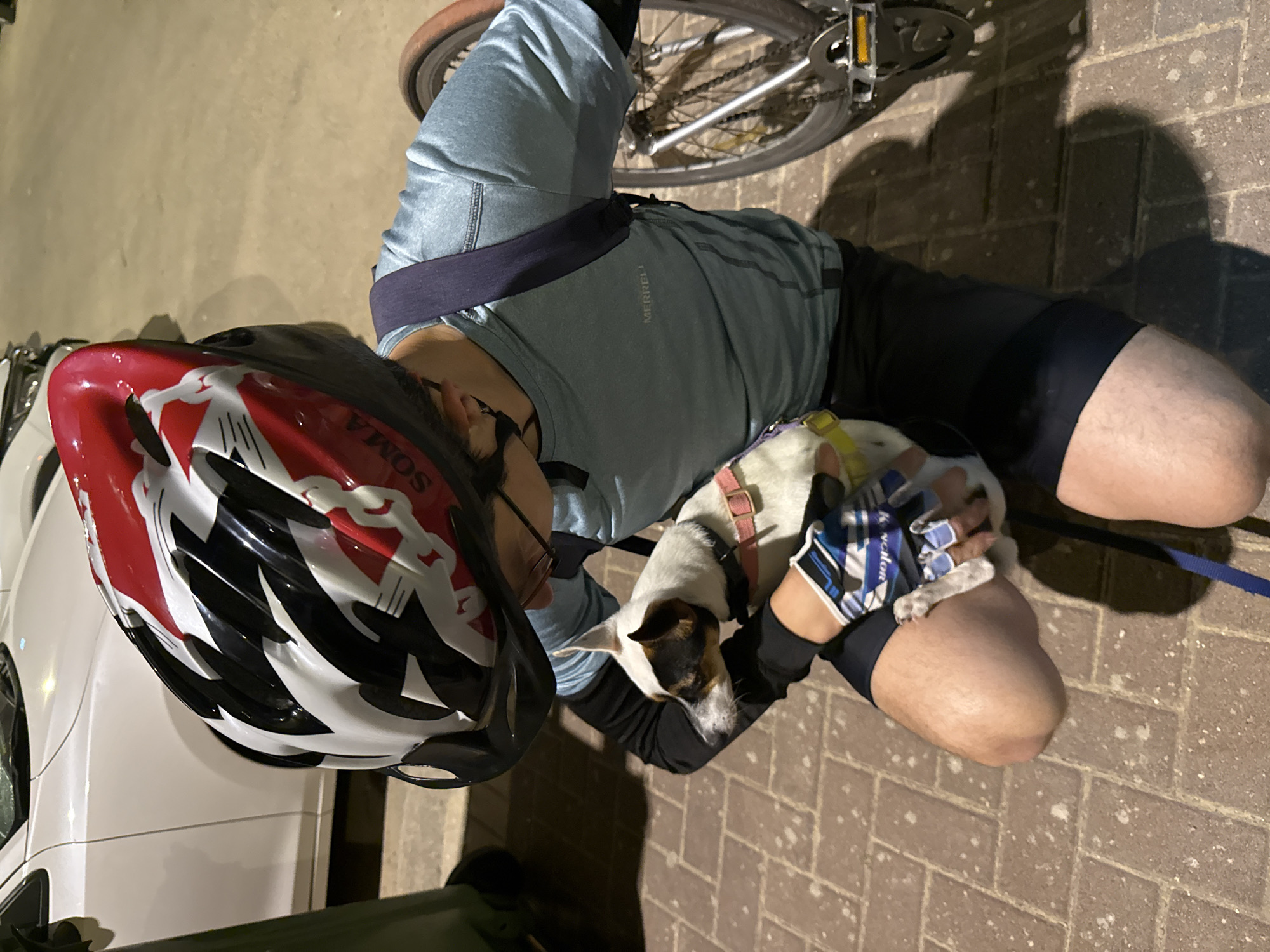 Cyclist stops to interact with dog in Petah Tikva