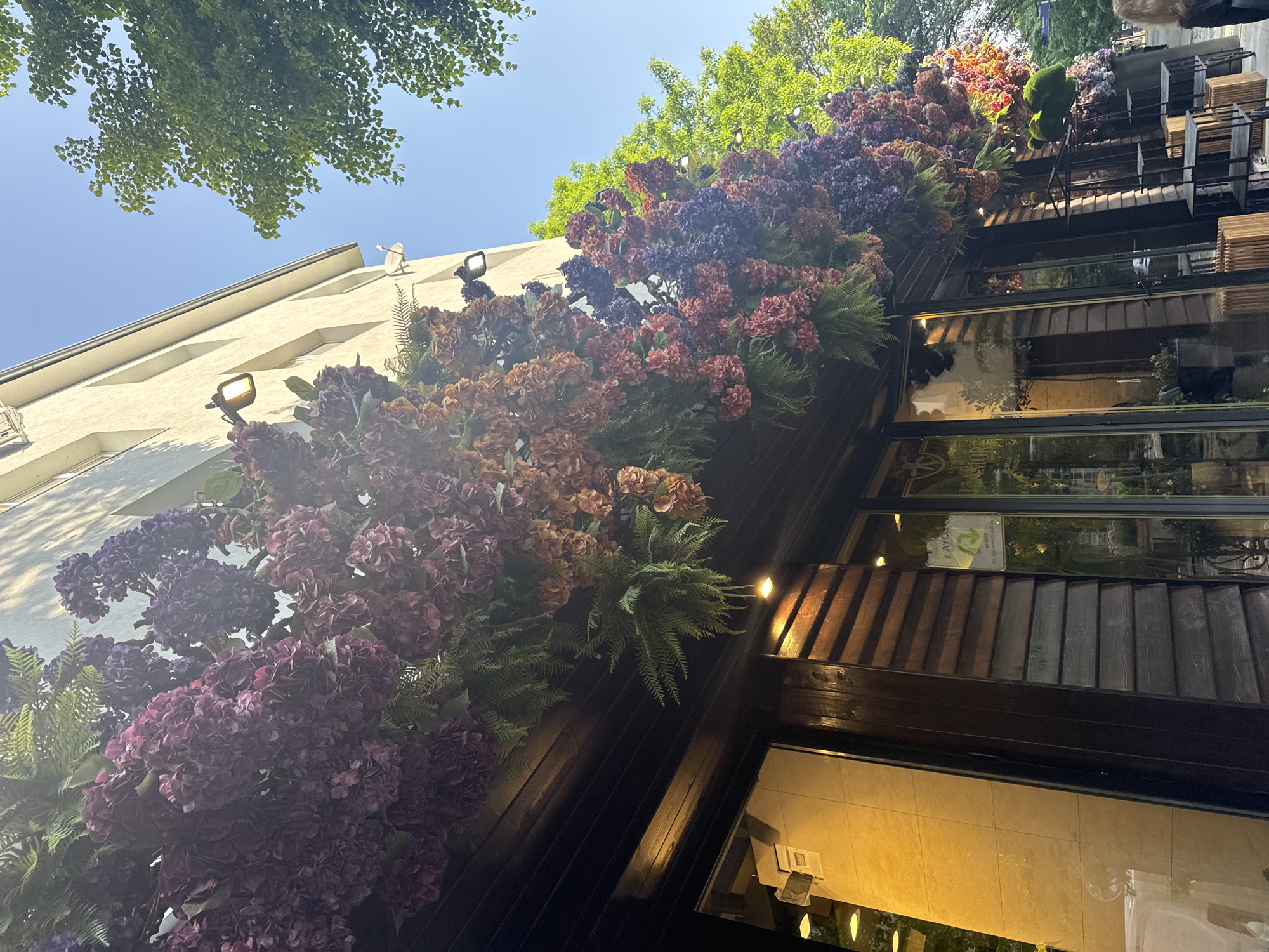 Morning snapshots document everyday life across Sofia, Bulgaria