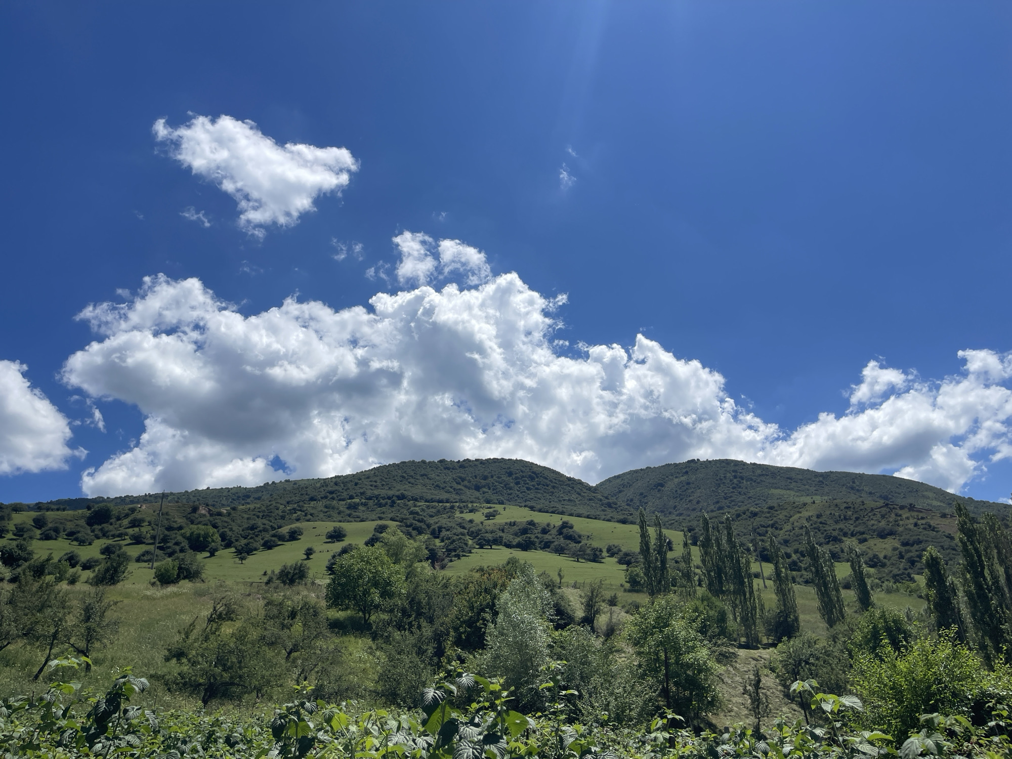 Green mountain slopes and clear skies in Taran-Bazar, Kyrgyzstan