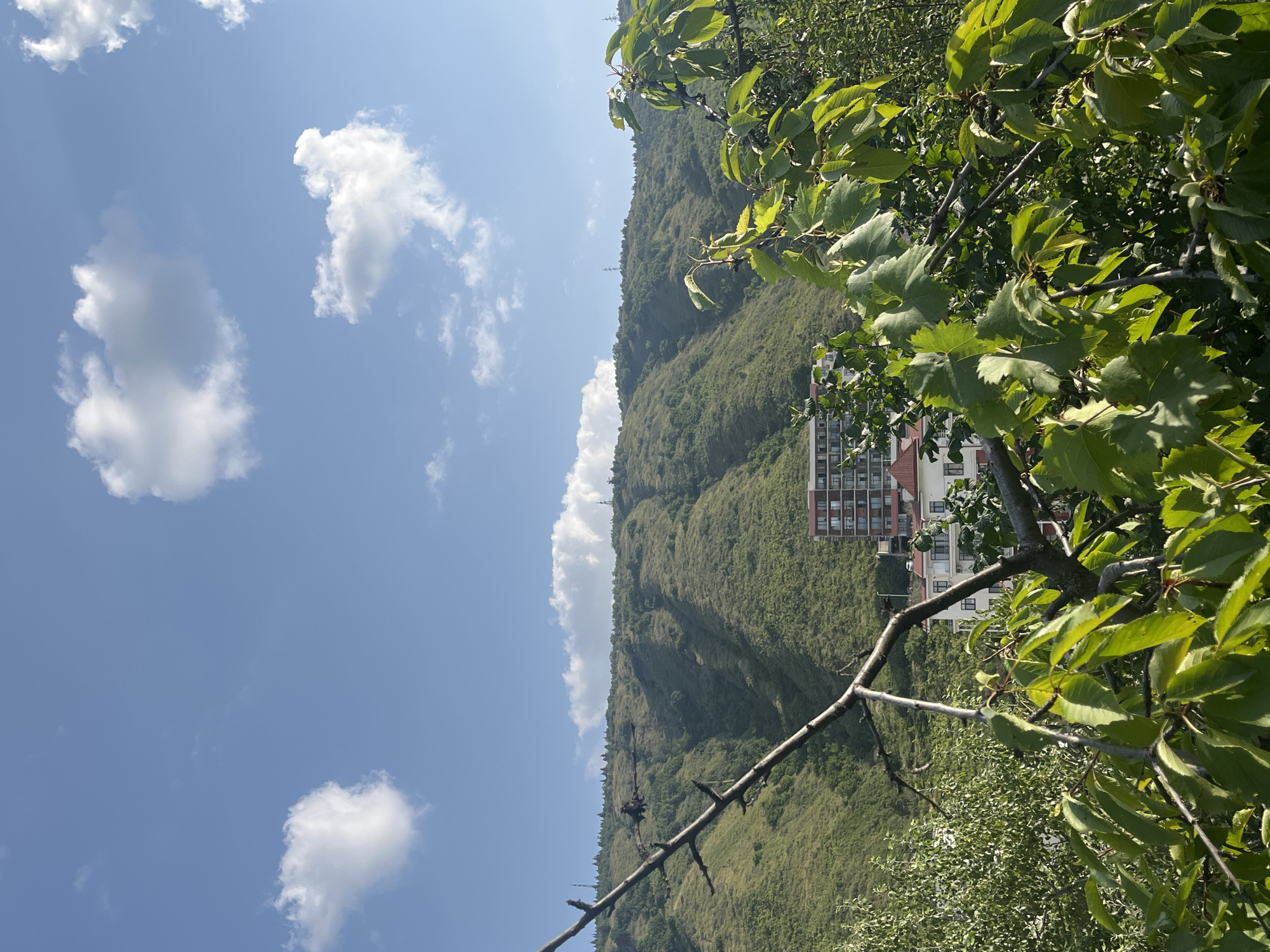Hilltop views of Tbilisi's skyline and green landscape