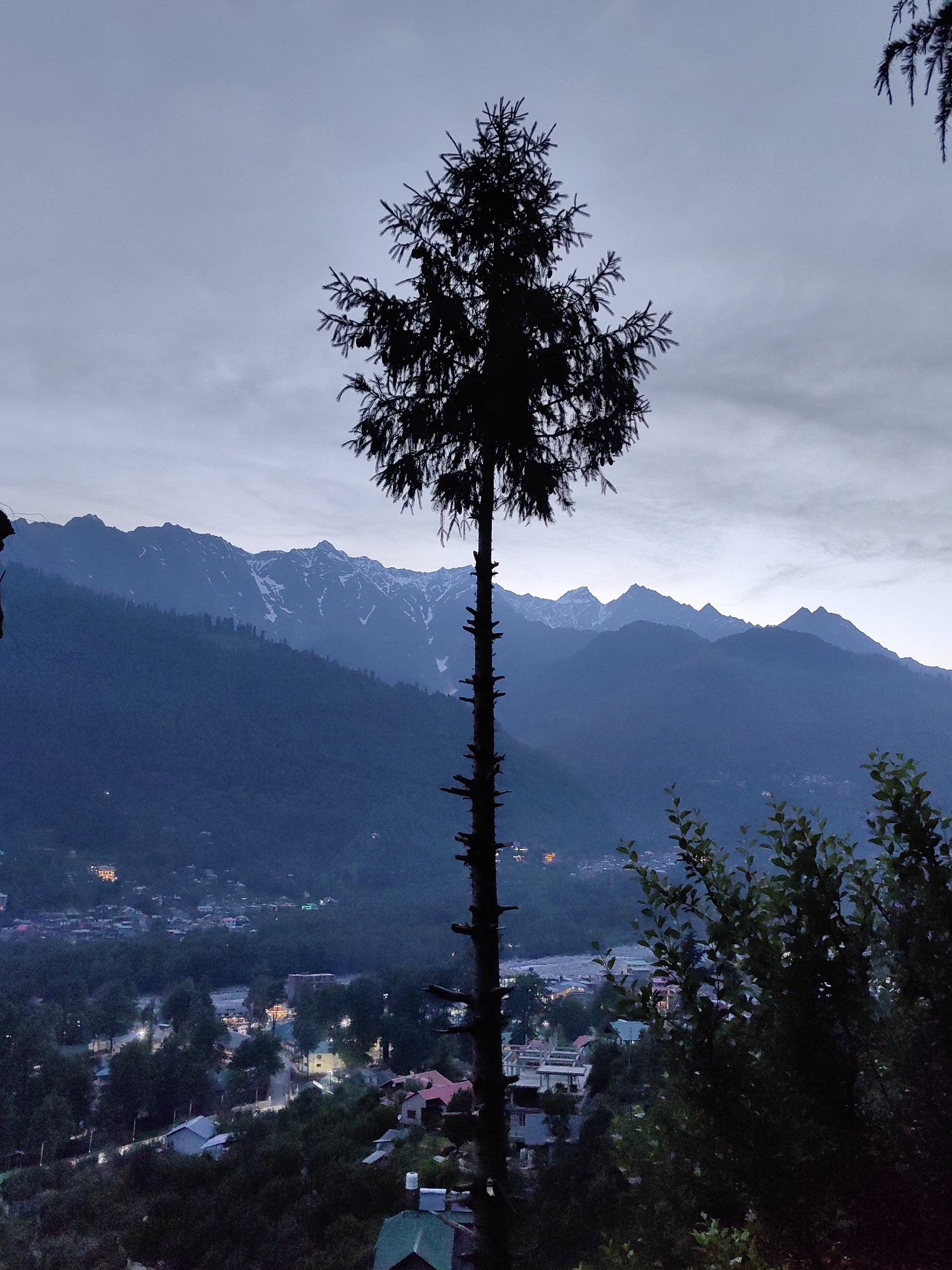 Mountain scenes, camping, prayer flags documented in Himalayan India