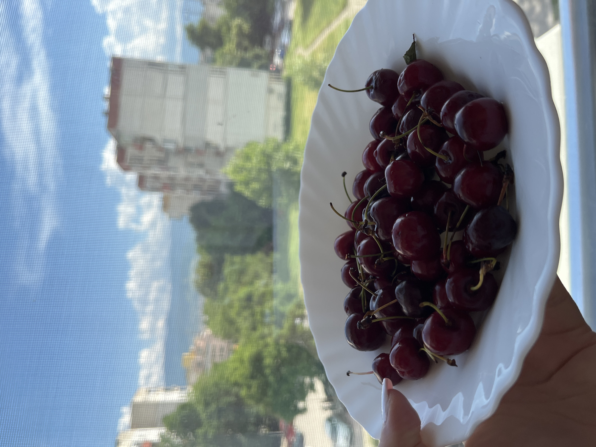 Quiet domestic afternoon captured in Plovdiv, Bulgaria