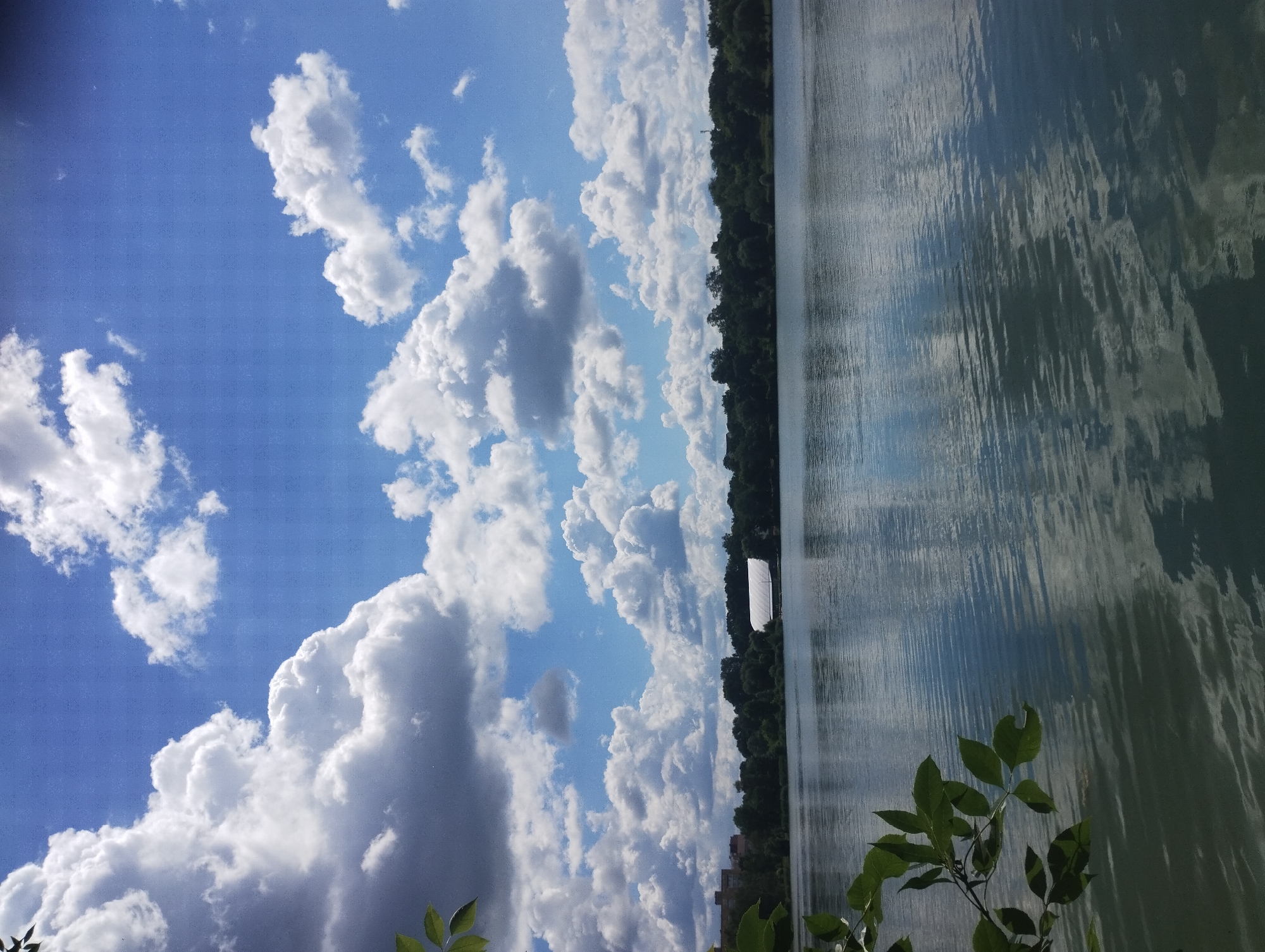 Quiet morning at a Sumy lakeside park: fishing, jogging, dog walks