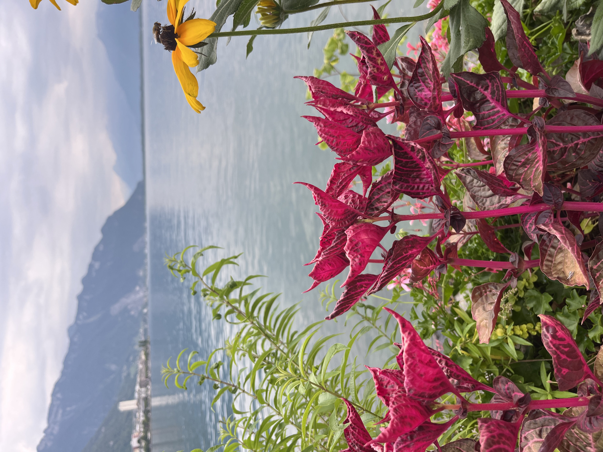 Afternoon stroll along the Montreux lakefront