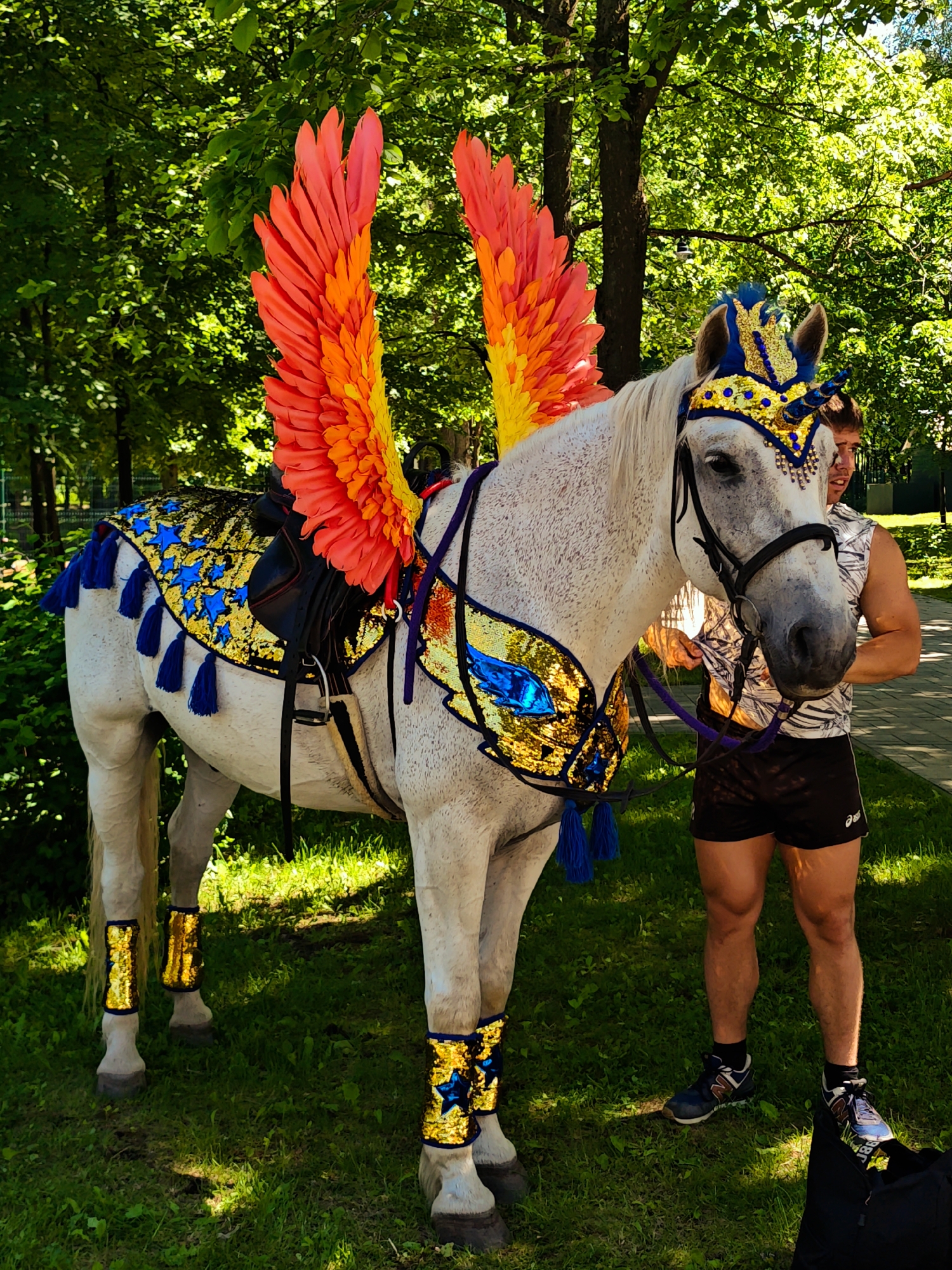 Cultural festival with costumed horse, performers draws crowds in Dubna