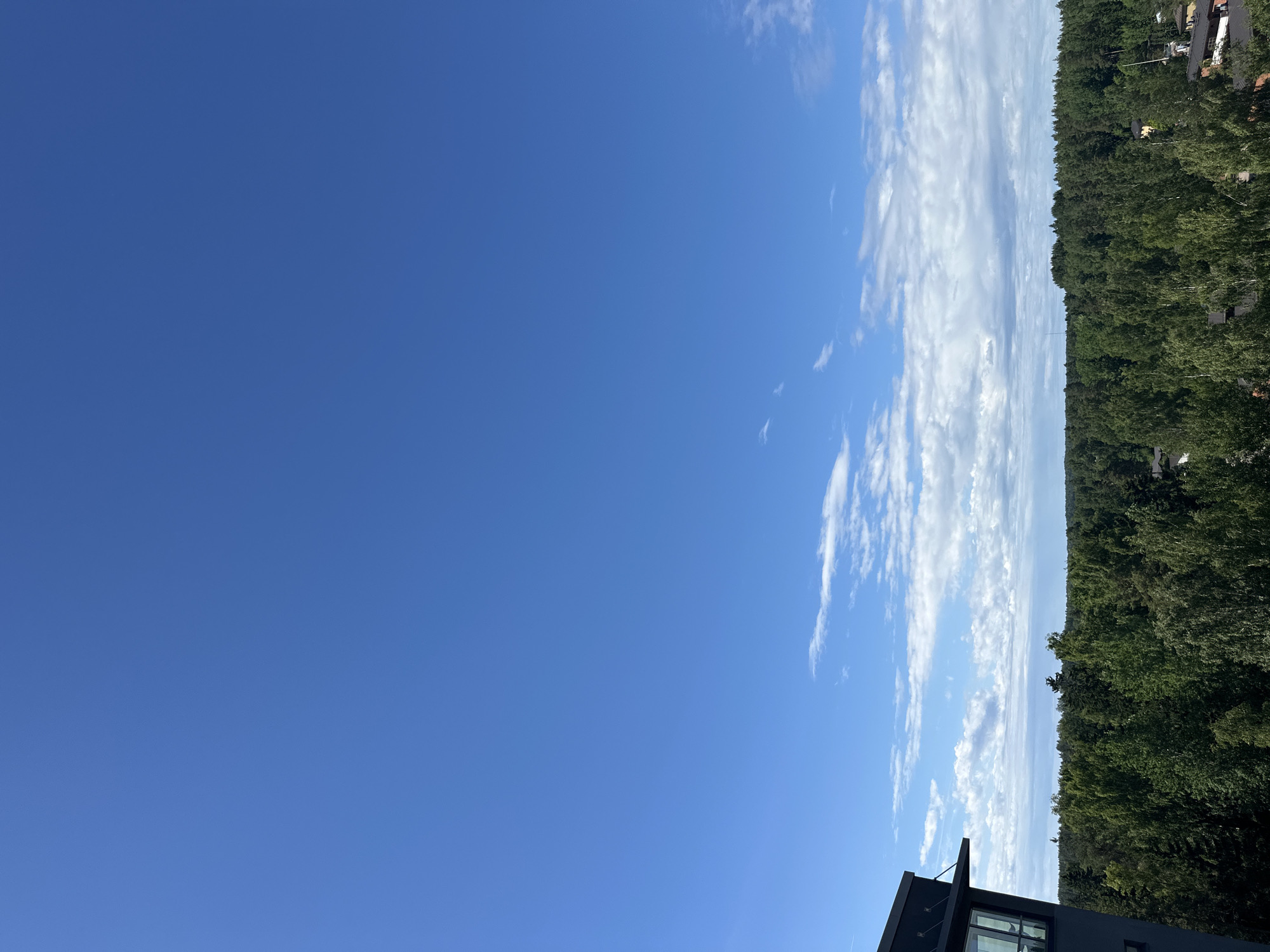 Morning skies, forest canopies, and apartment buildings from above