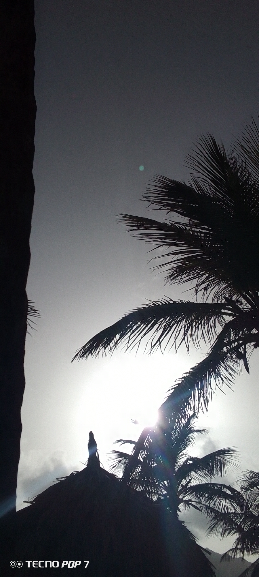 Tropical beach scenes documented in Pedro González, Venezuela