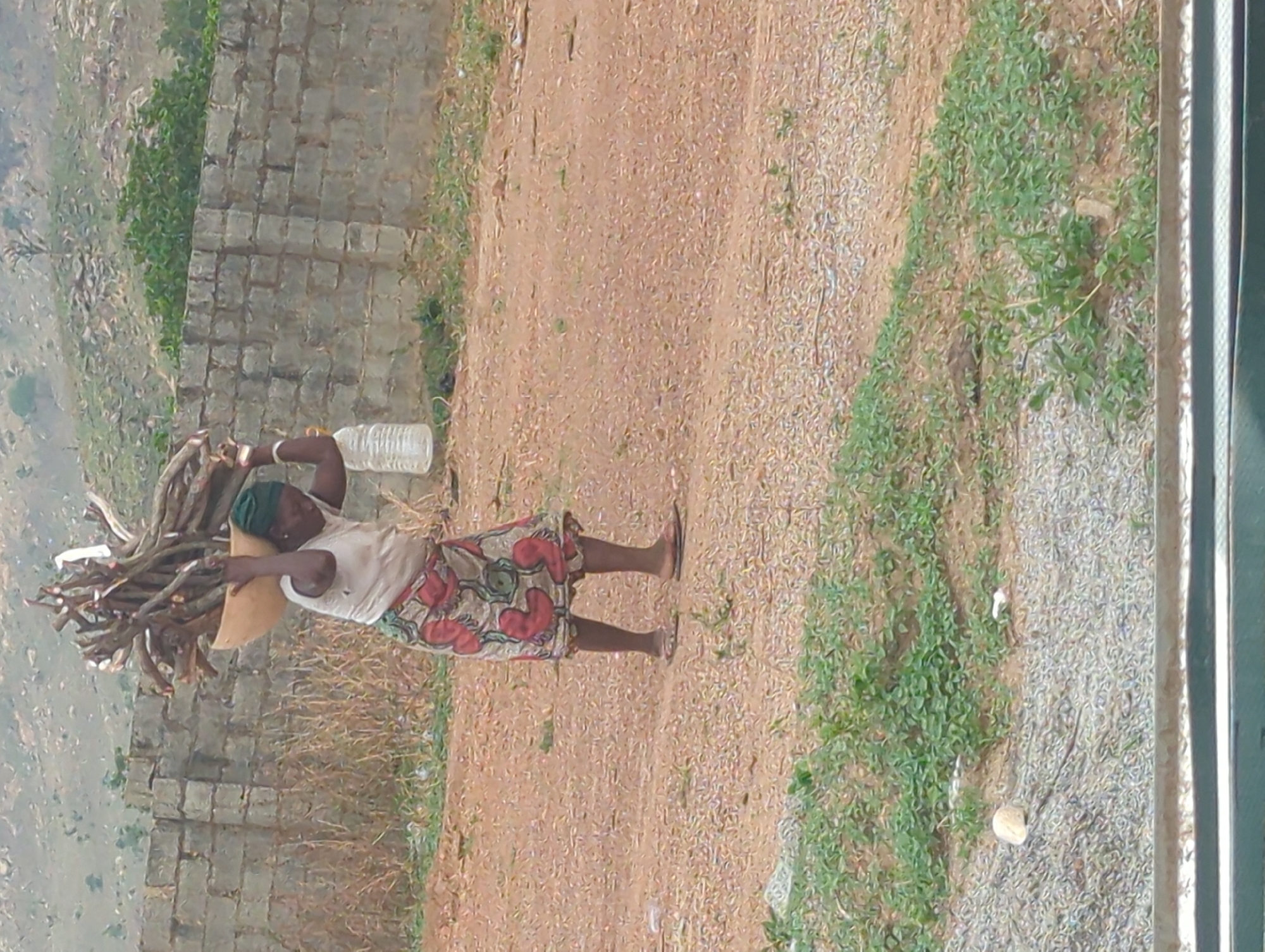Woman carries firewood bundle in Karsana 2, Nigeria