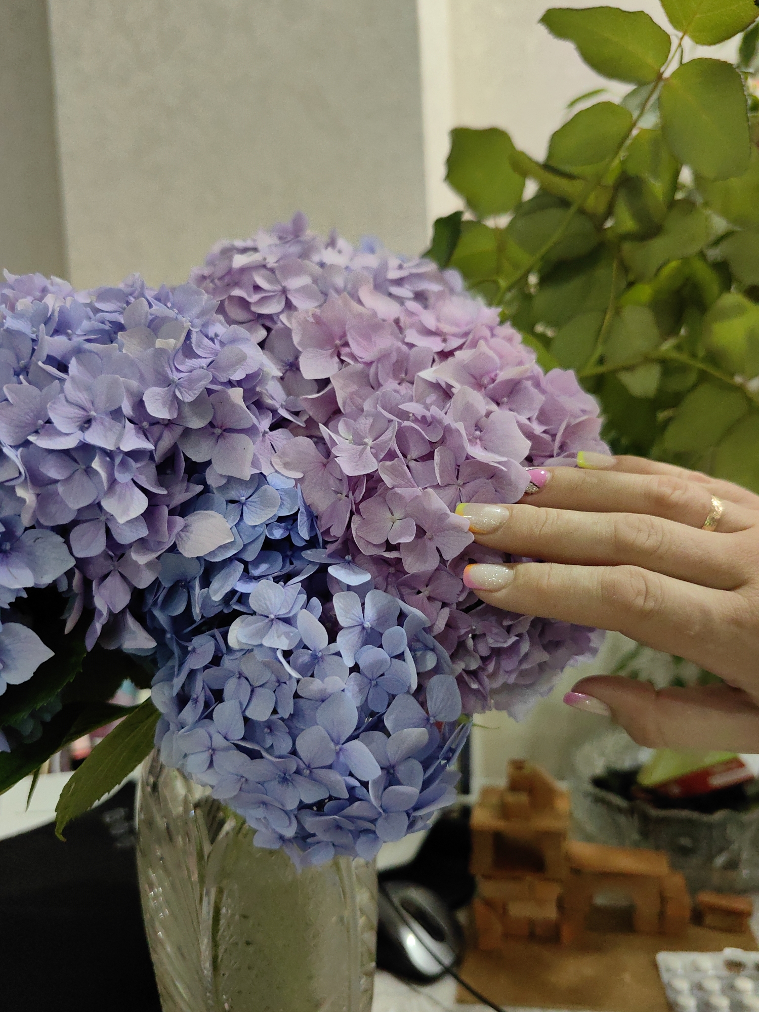 Hydrangeas and twilight hillsides across a Sochi evening