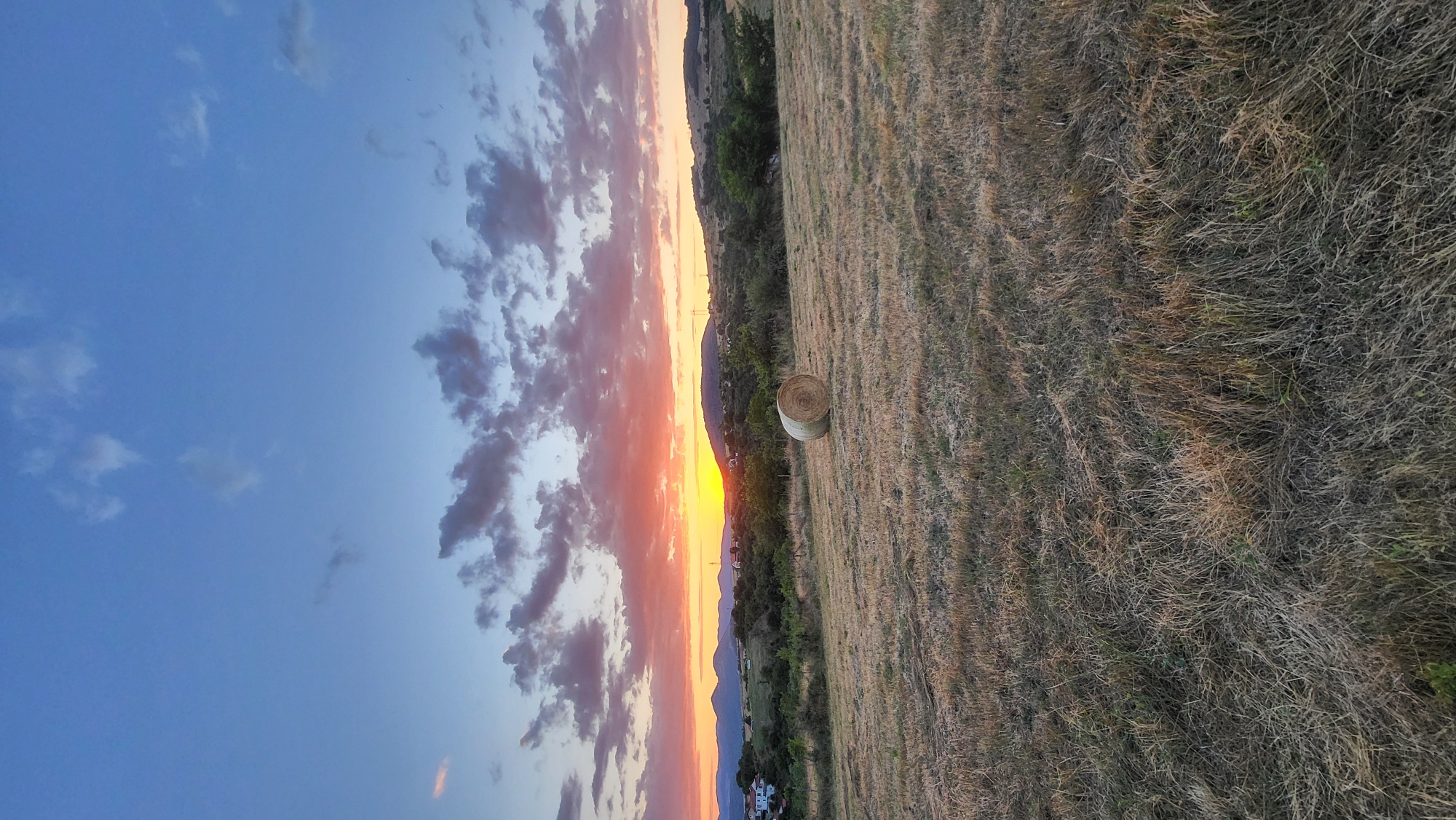 Golden hour in a Bulgarian field, hay bales and a loose dog