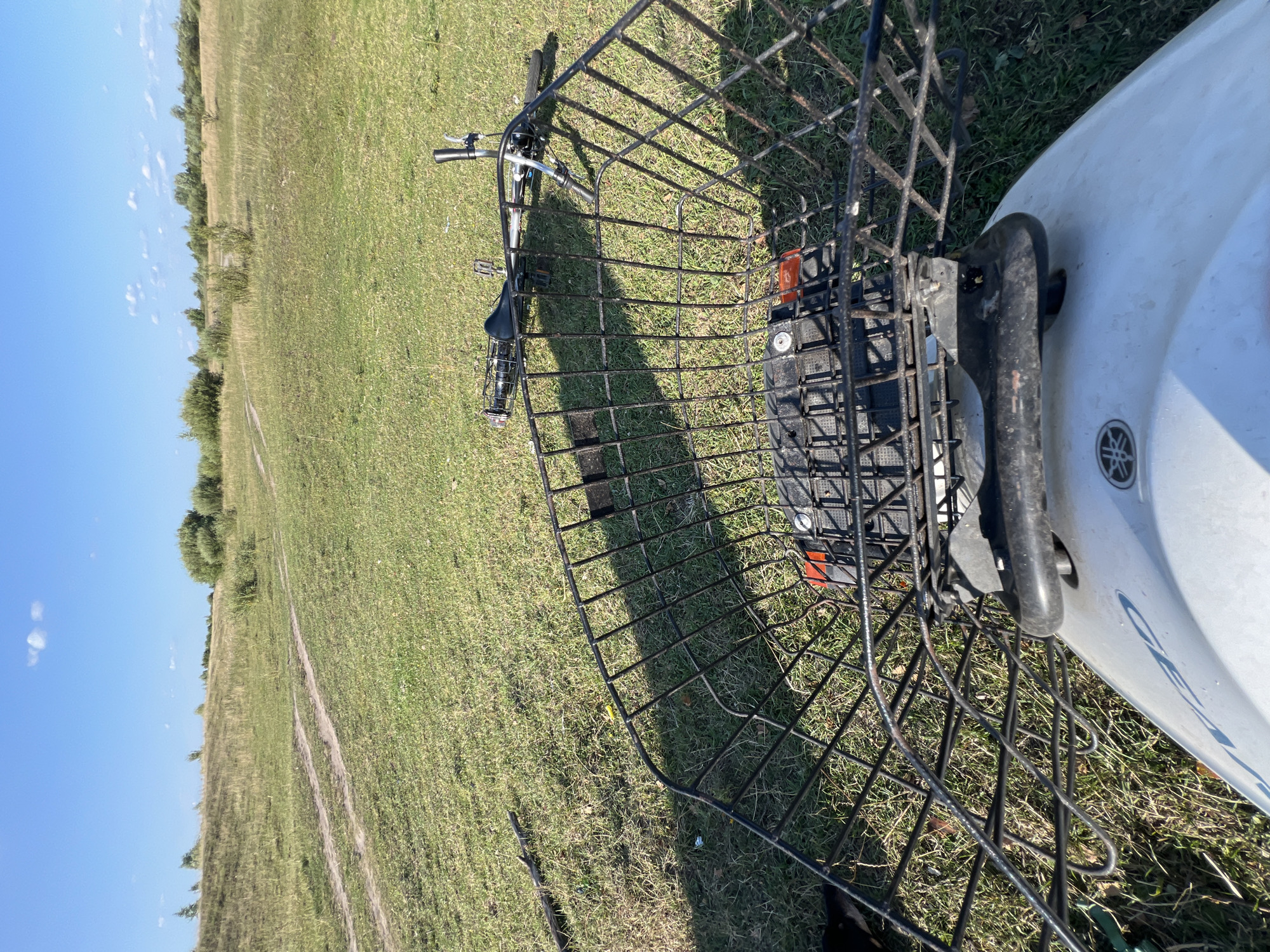 Scooter stopped in a field, Sobishchytsi, Ukraine