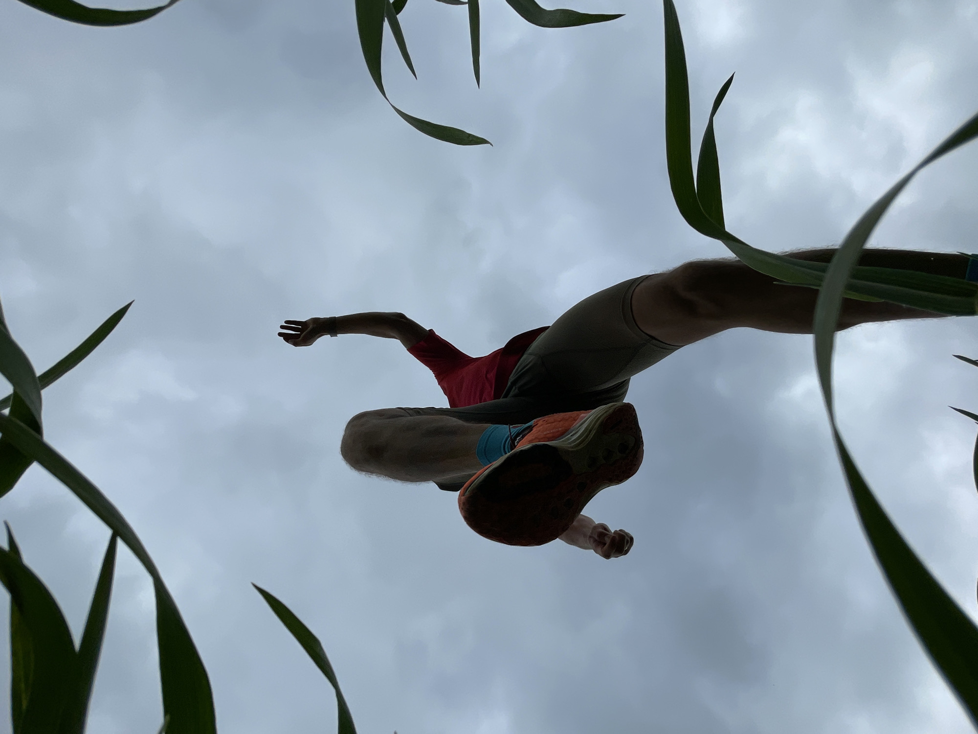 Runner jogs through green fields during morning workout session