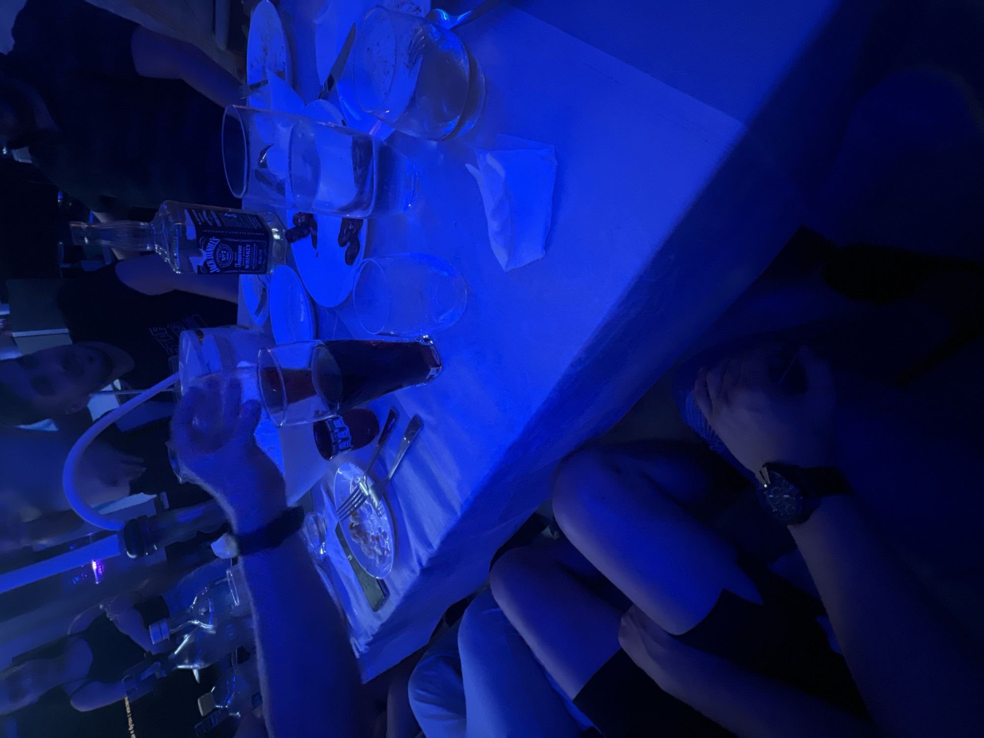 Group dining scene captured at restaurant in Roman, Bulgaria