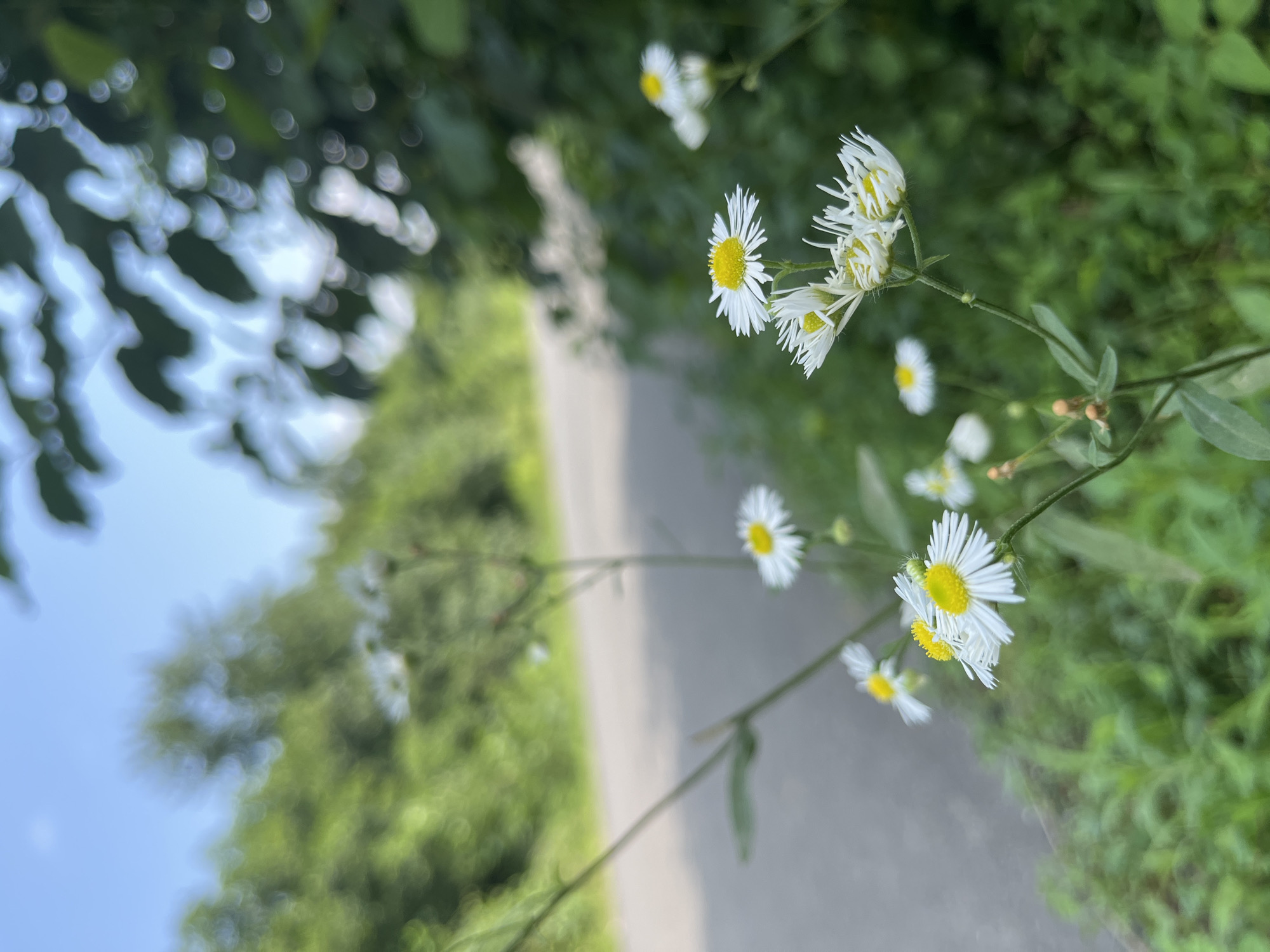 Summer morning on Ureki's black sand coast and streets