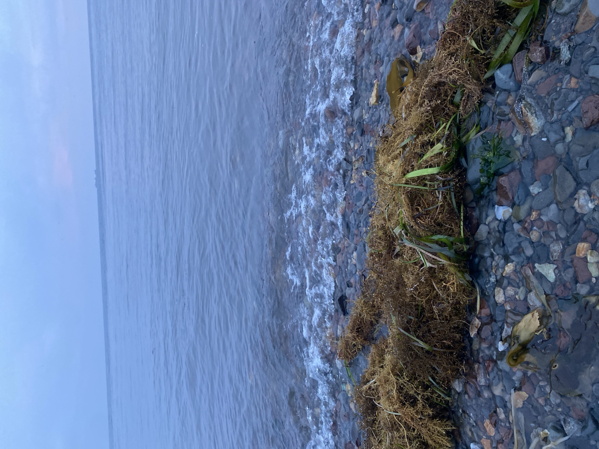 Rocky Okhotsk shoreline explored up close, Korsakov
