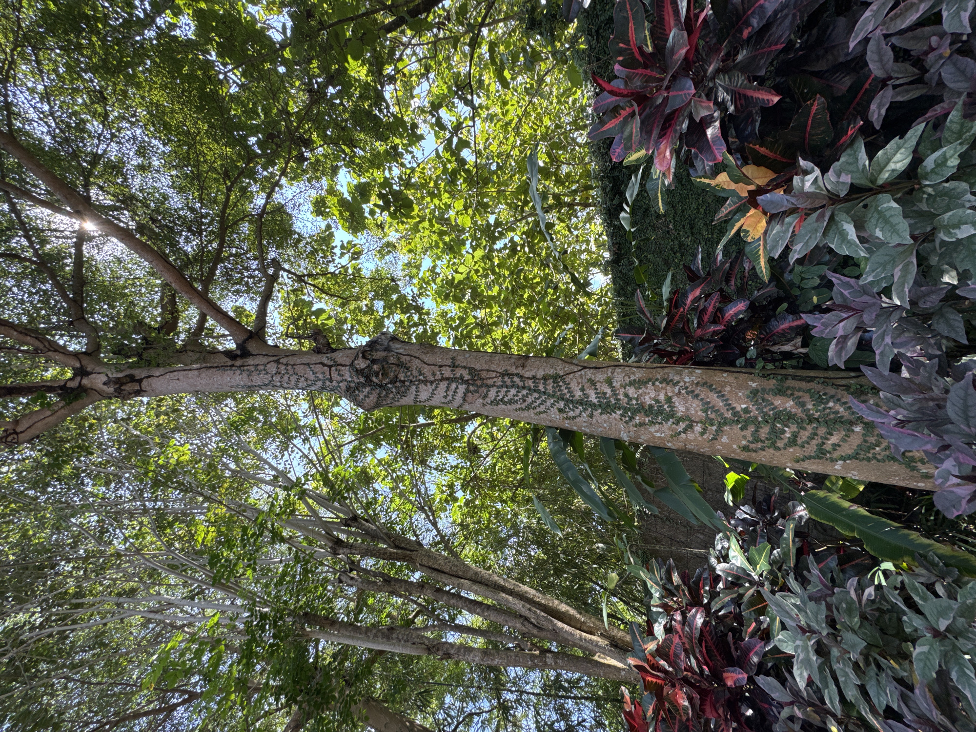 Witness documents home décor and rain-touched plants in Jimbaran