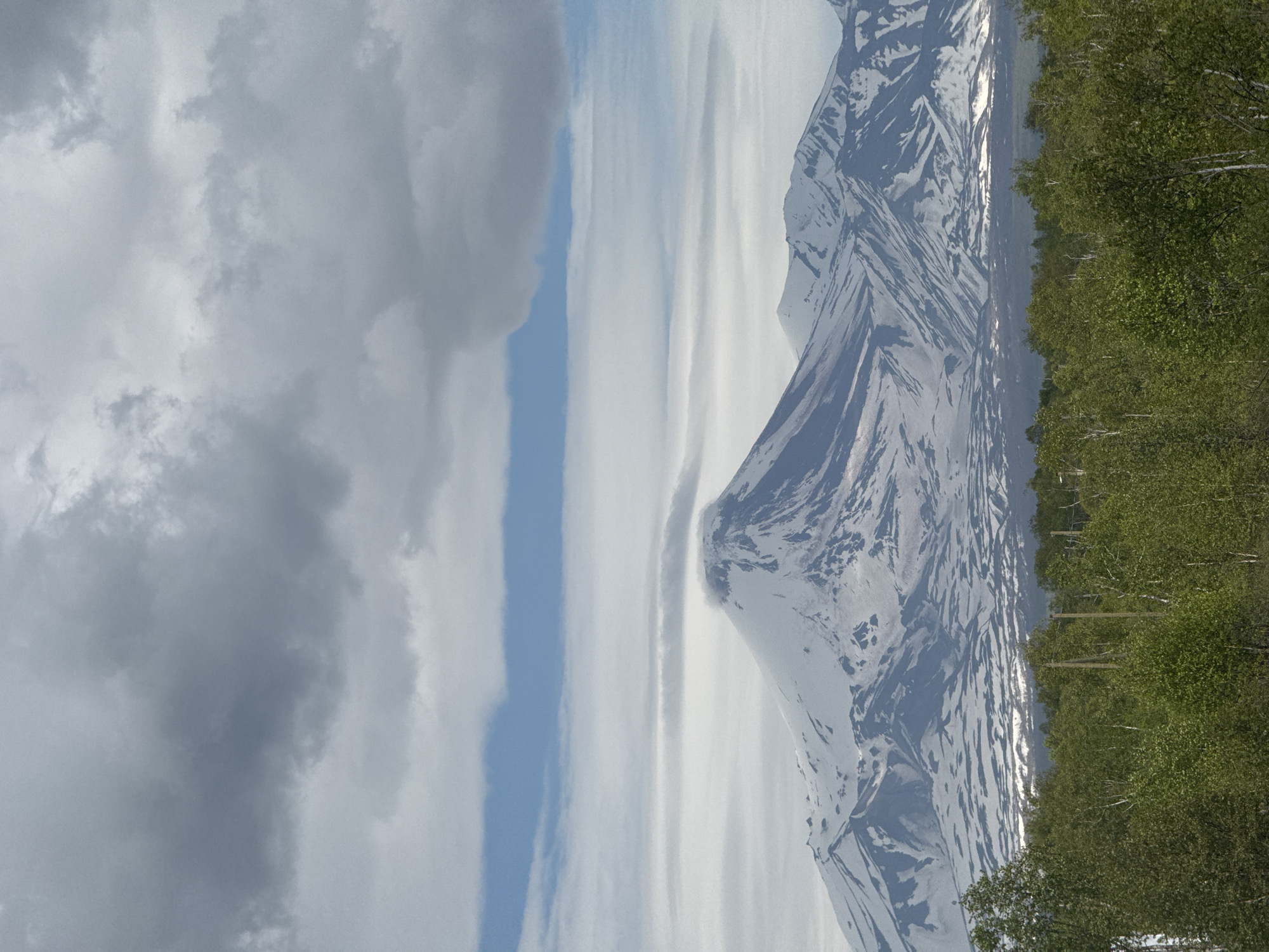 Snow-capped Kamchatka volcanoes loom over dense forest near Yelizovo