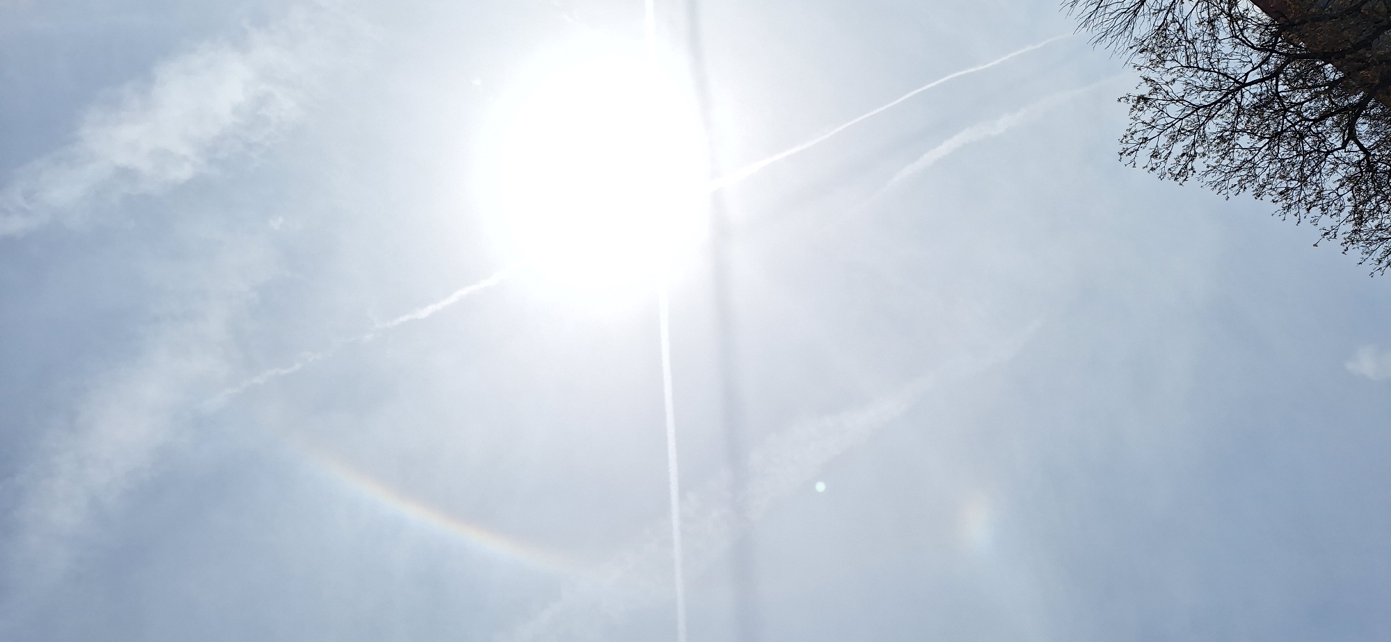 Solar halo and contrail crosses observed over Blagoevgrad, Bulgaria