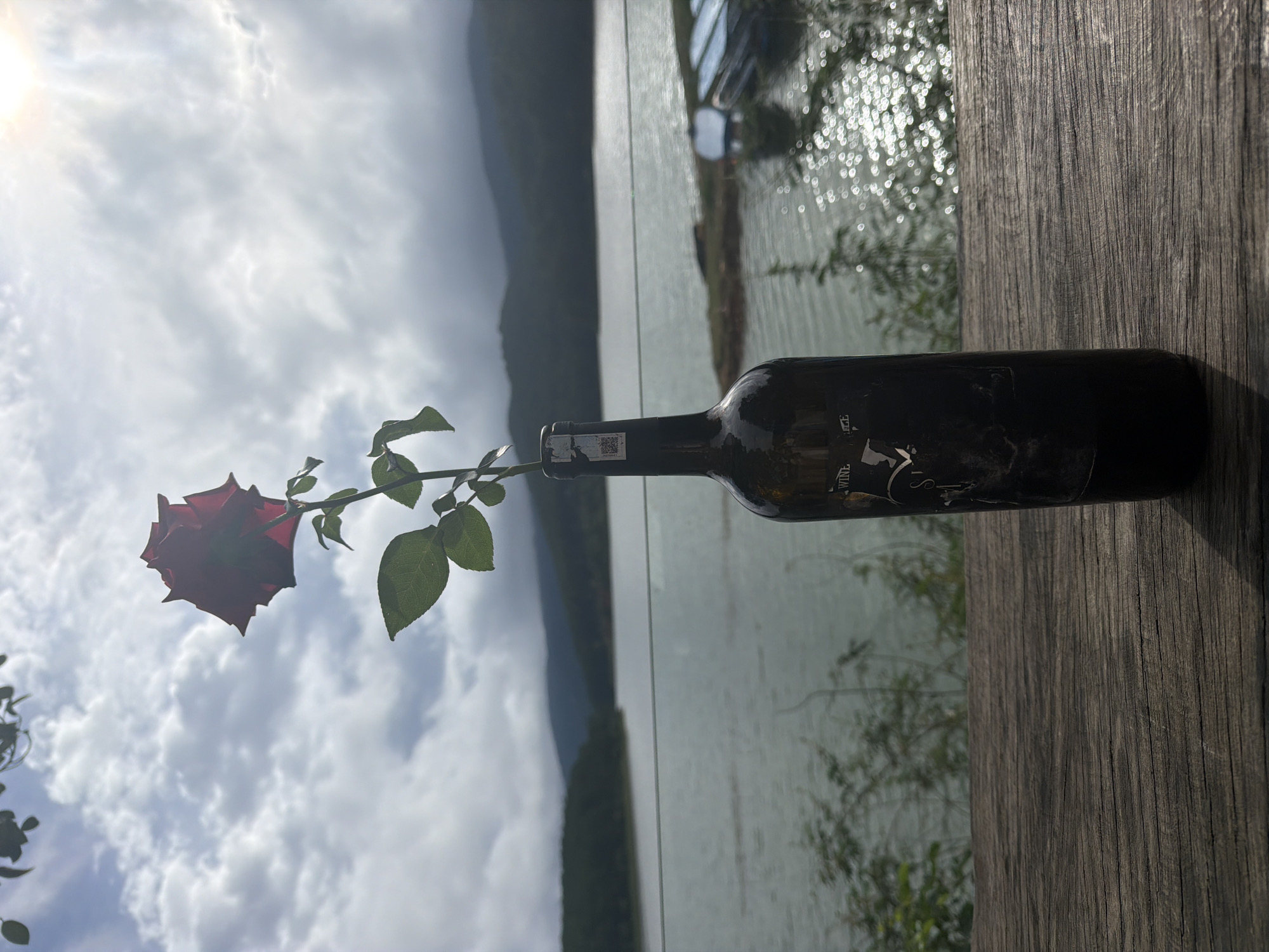 Lakeside café morning in Da Lat with drinks and a poodle