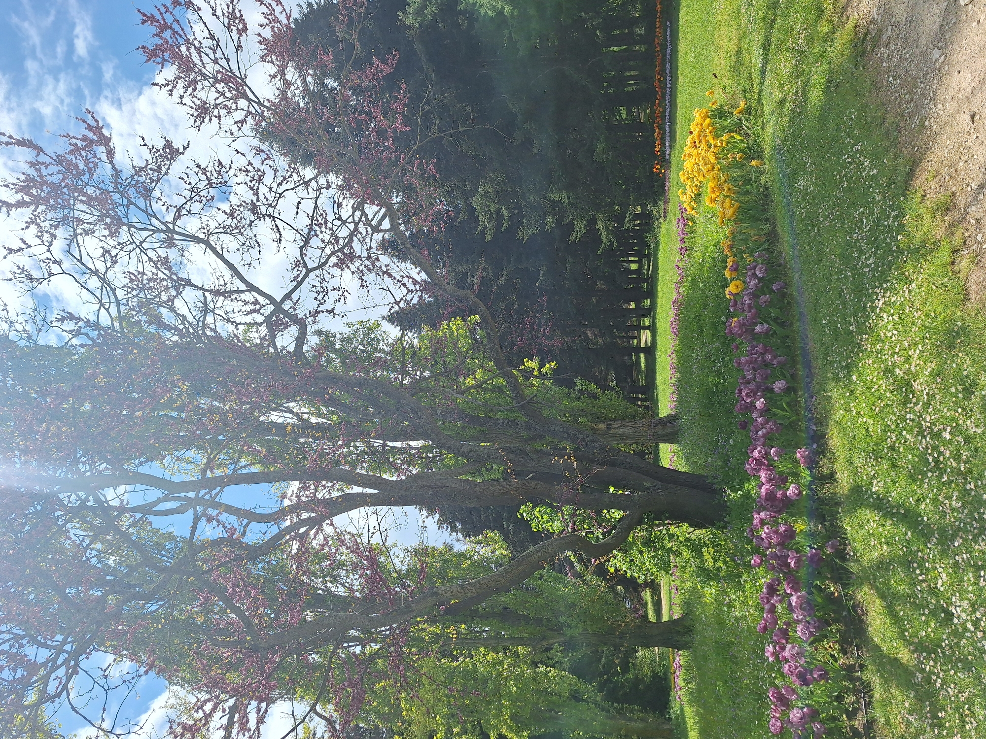 Spring morning walk through Varna botanical gardens documented