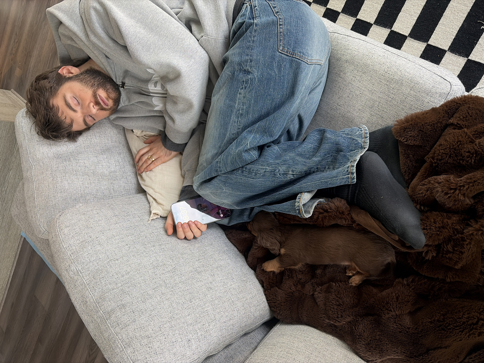Man sleeps on sofa with dachshund puppy in Montreal