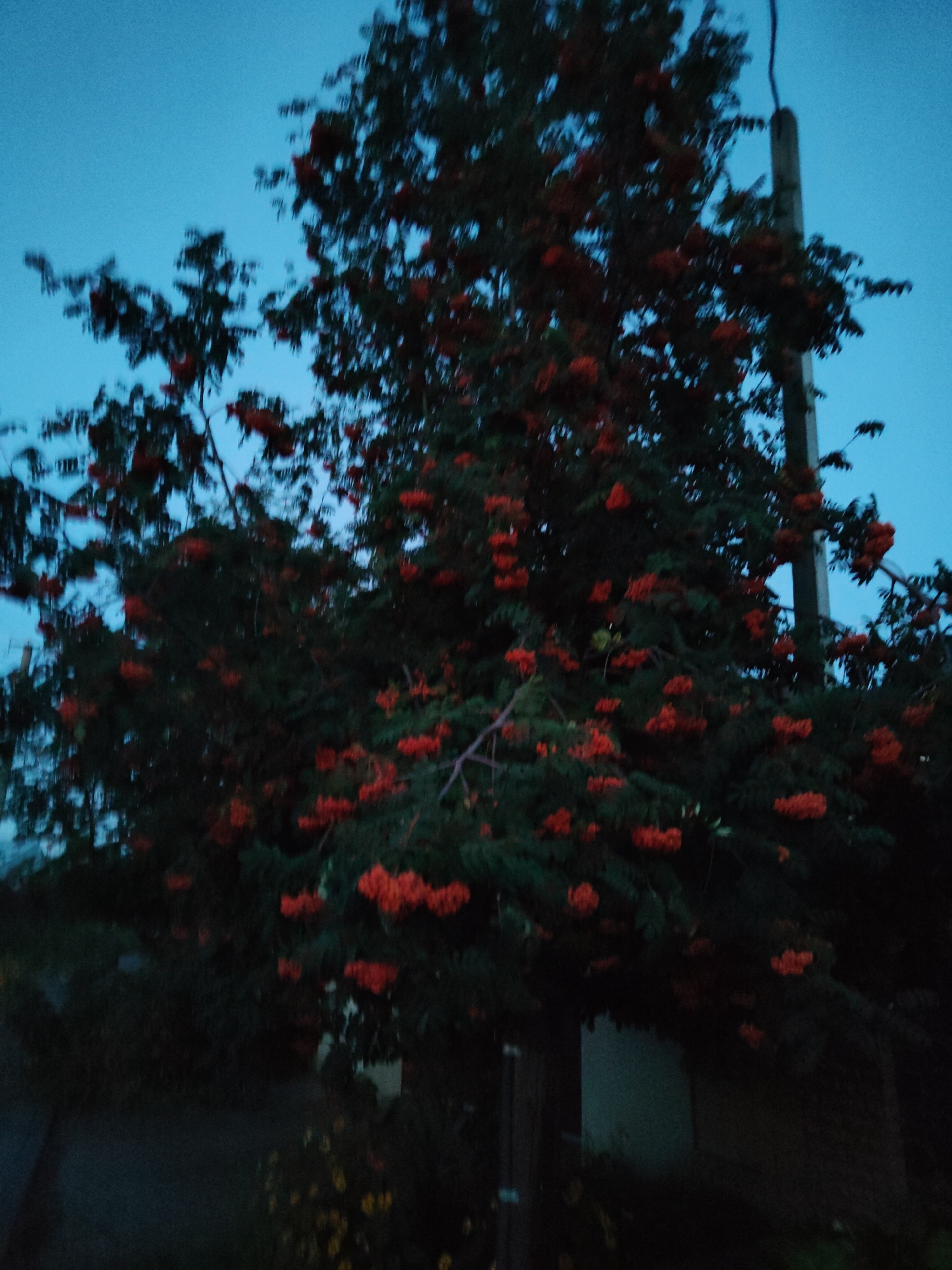 Dusk falls over quiet streets in Cherkasy, Ukraine