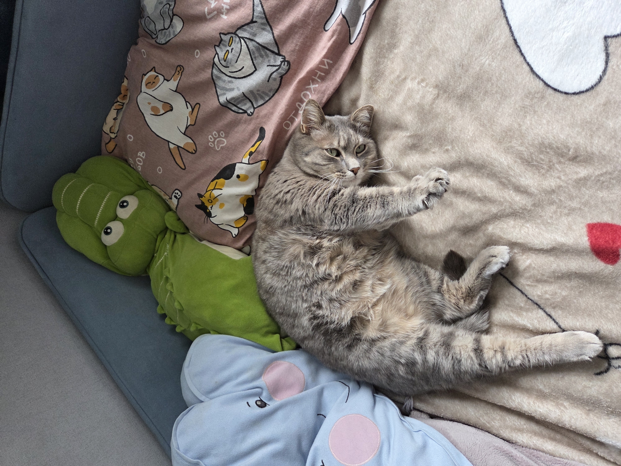 Morning moments with cat, selfie, spinning pinwheel in Birobidzhan