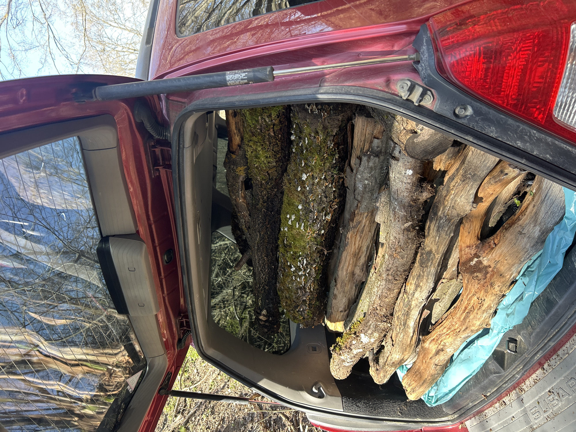Car stuck during wood collection in Bulgarian forest