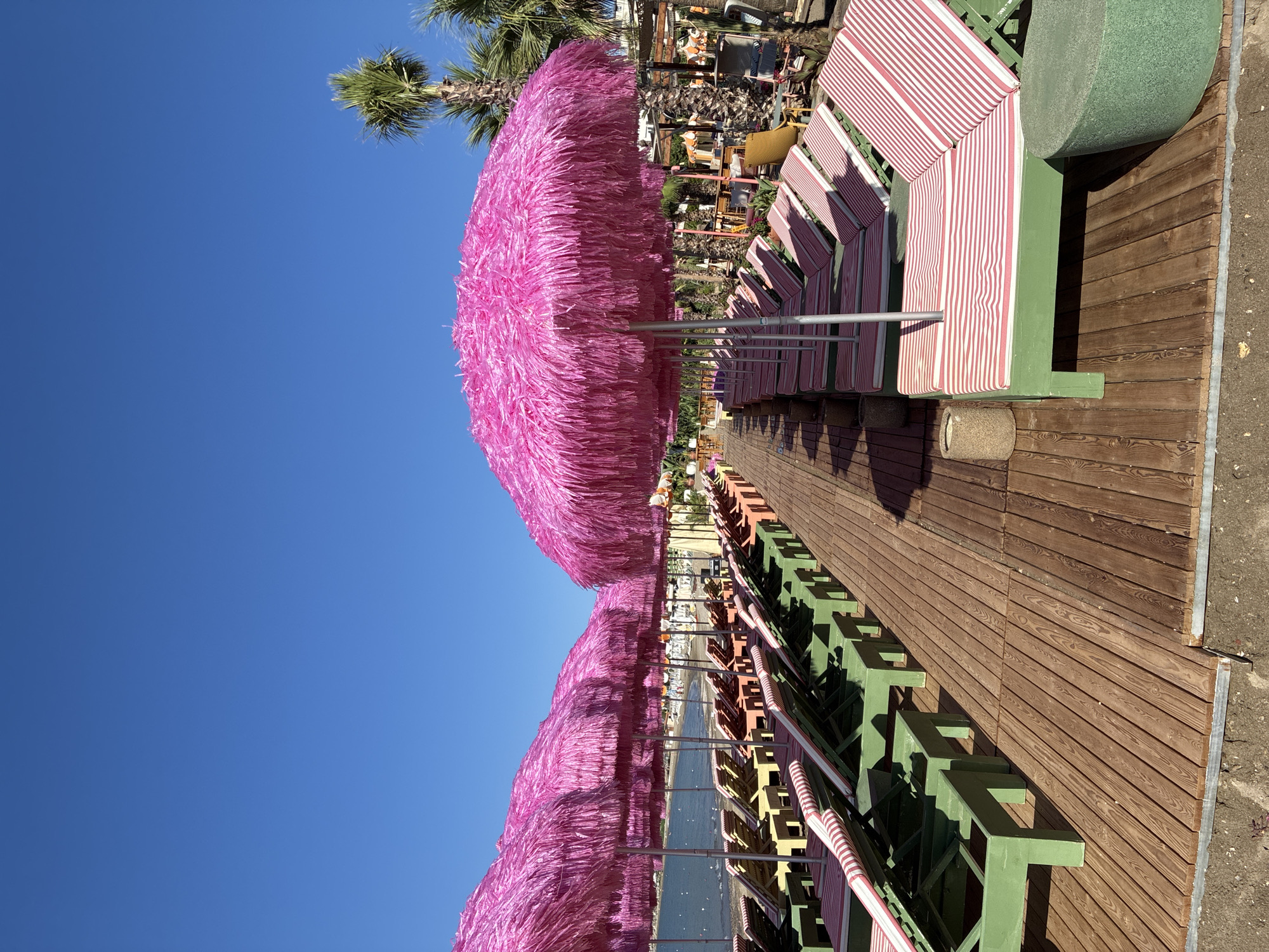 Alanya beach resort chairs and pink umbrellas, quiet morning